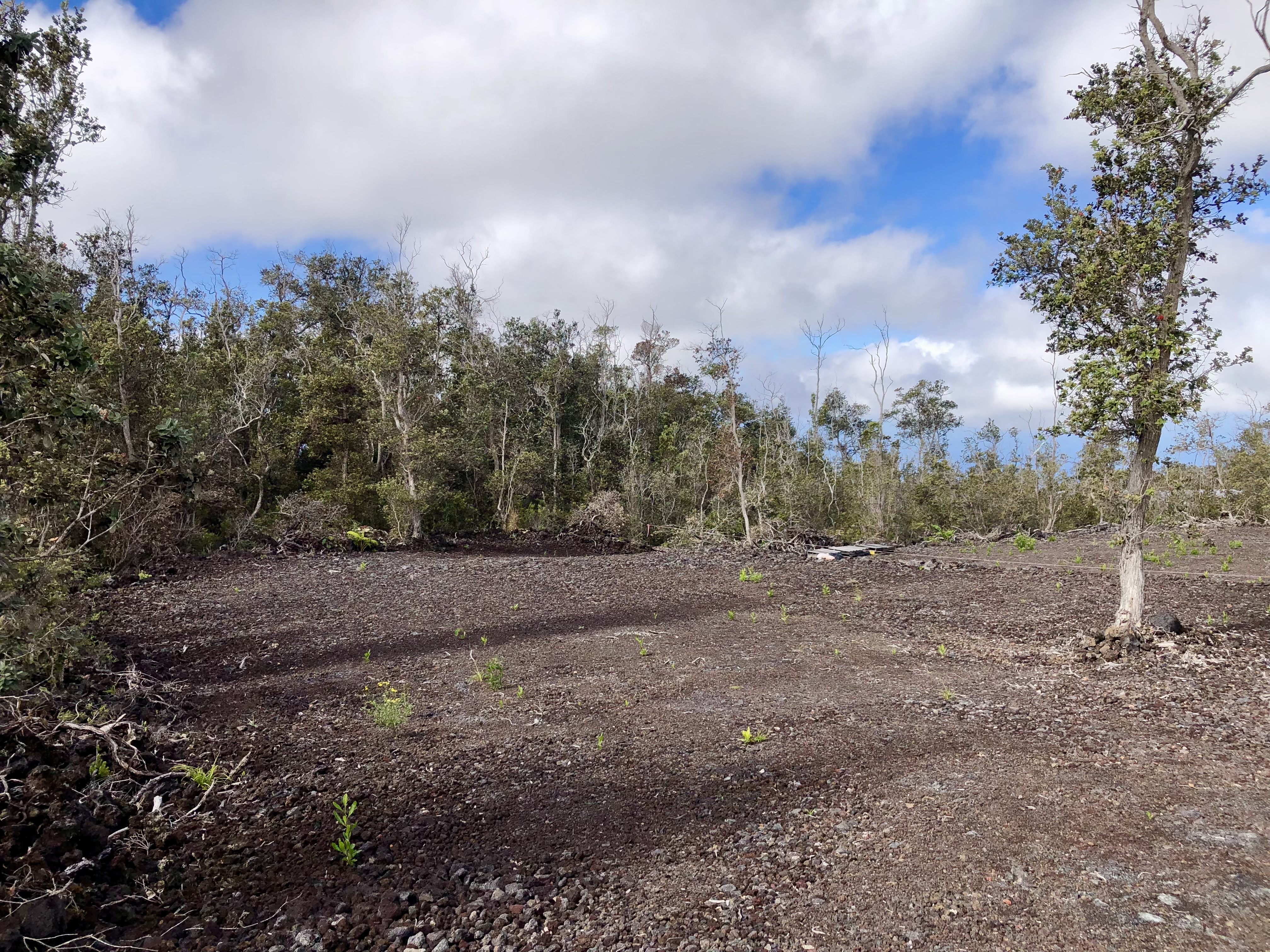Paradise Pkwy Property Photo 10