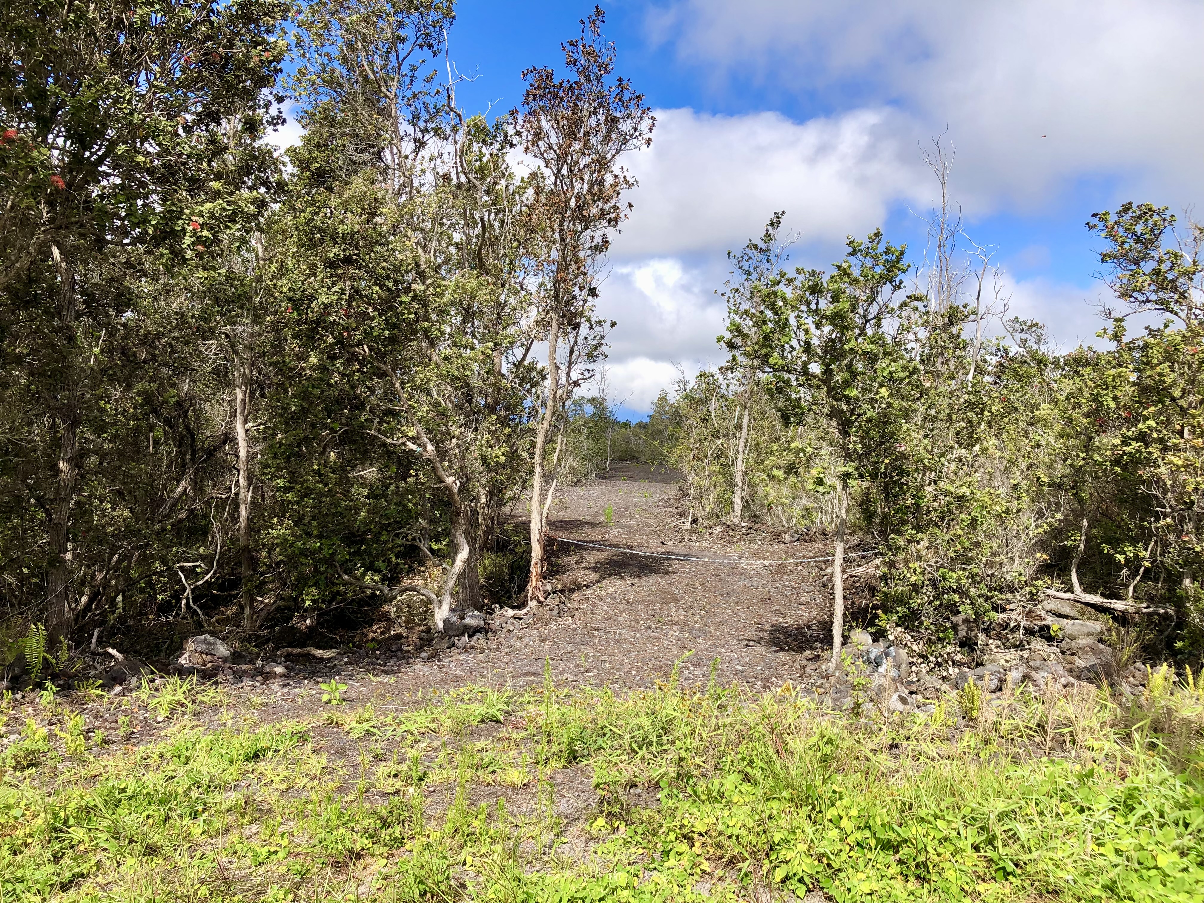 Paradise Pkwy Property Photo 13