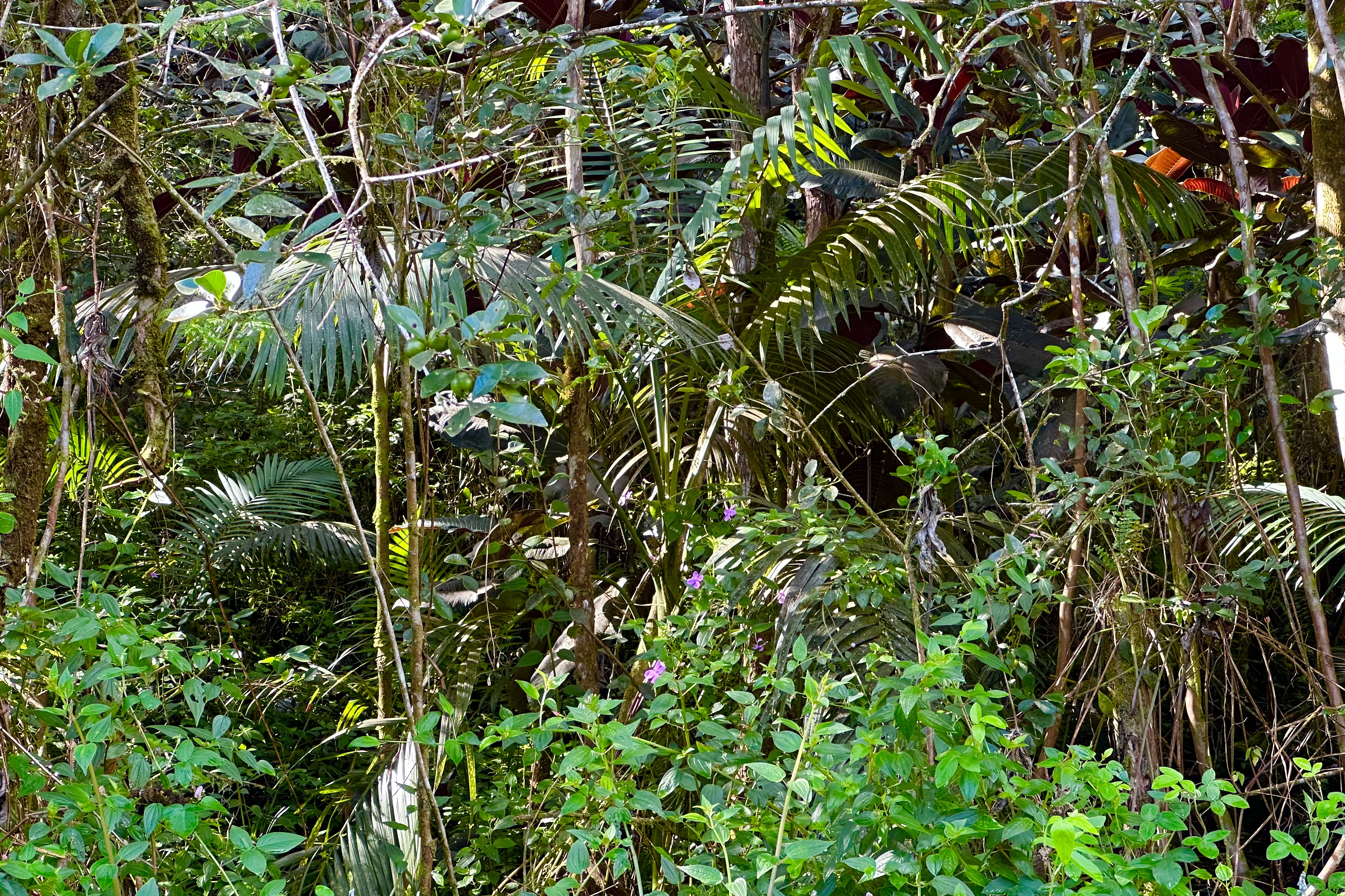 Dolphin Ln Property Photo 3