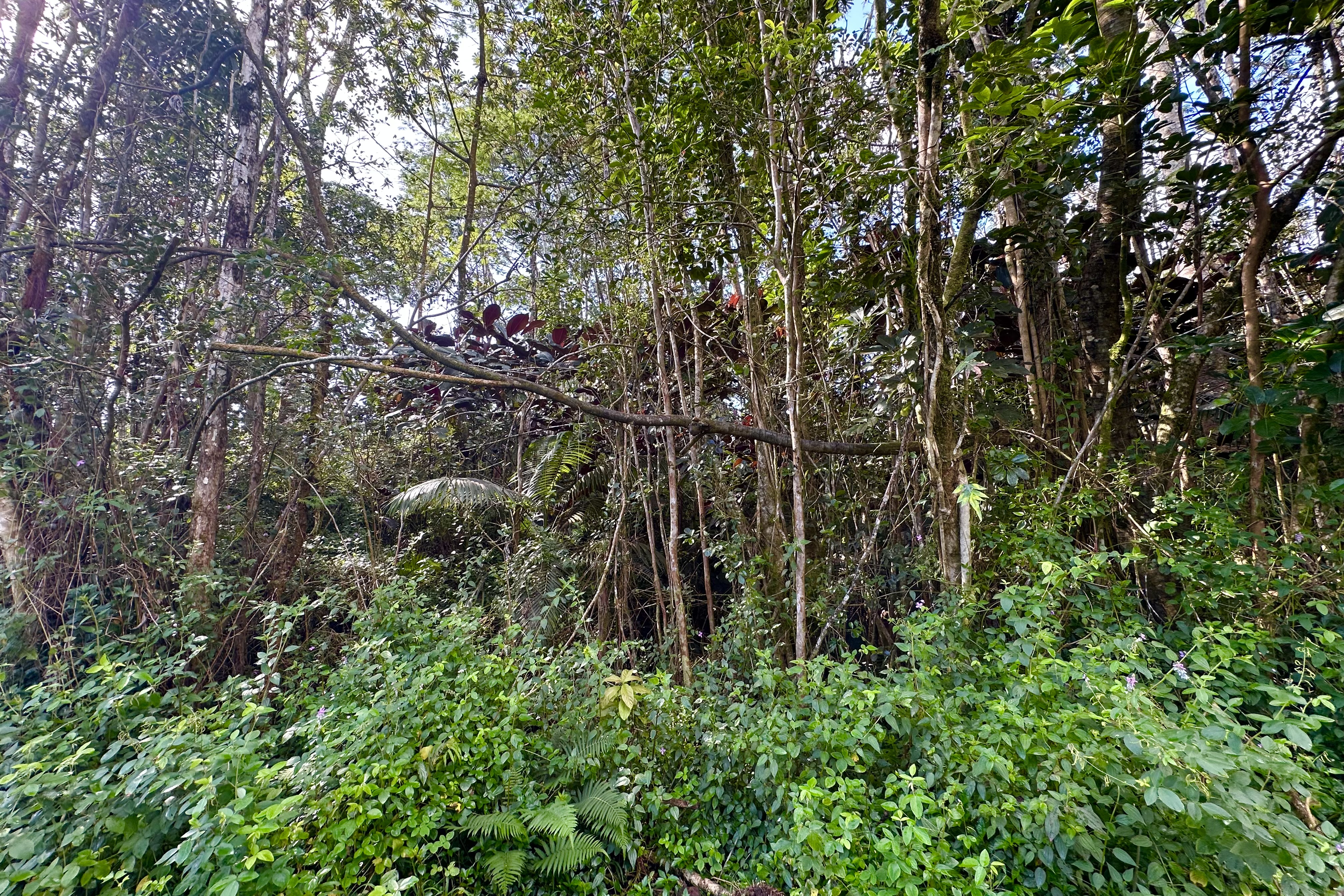 Dolphin Ln Property Photo 14