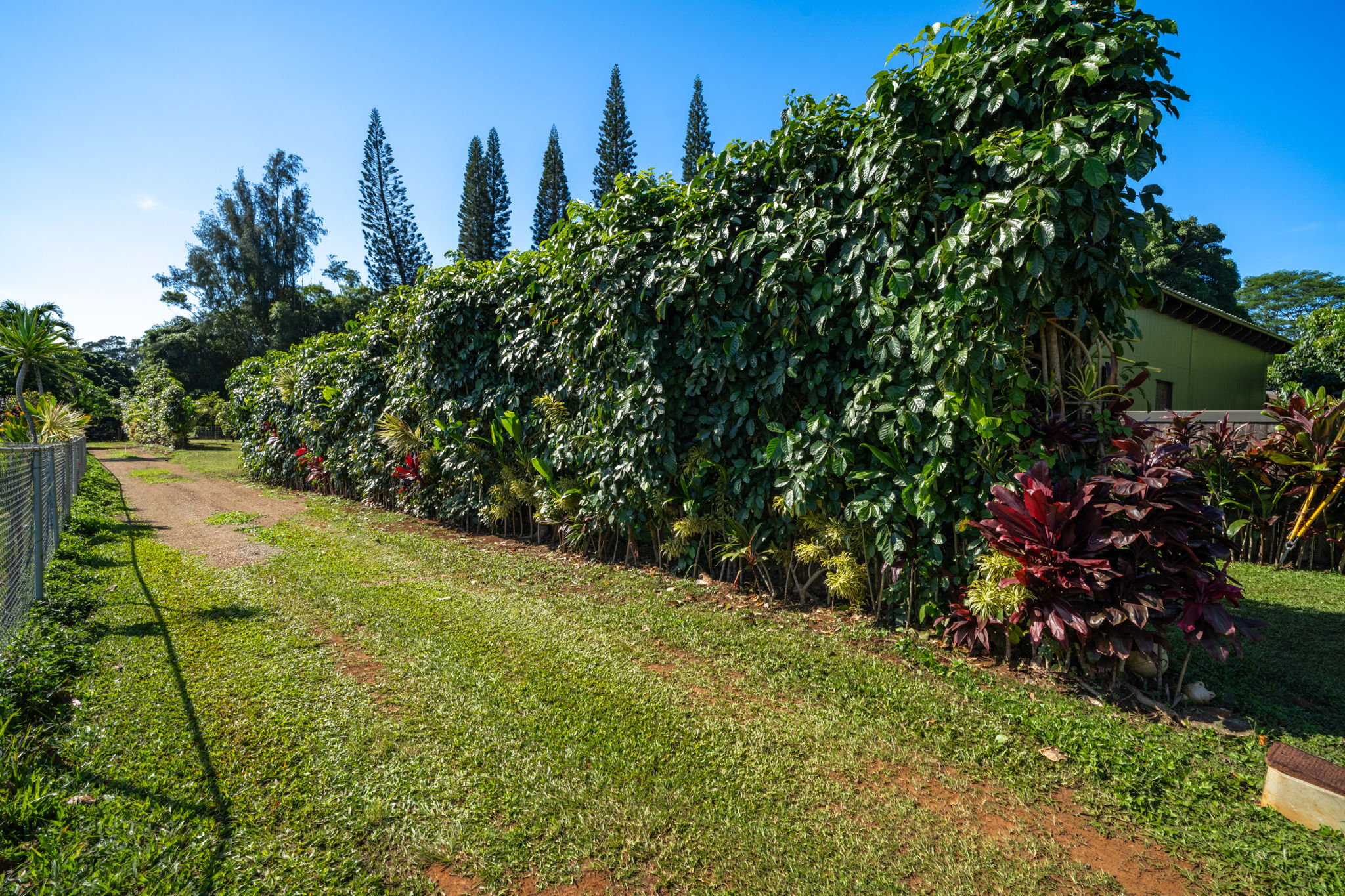 Kawaihau Rd Property Photo 4