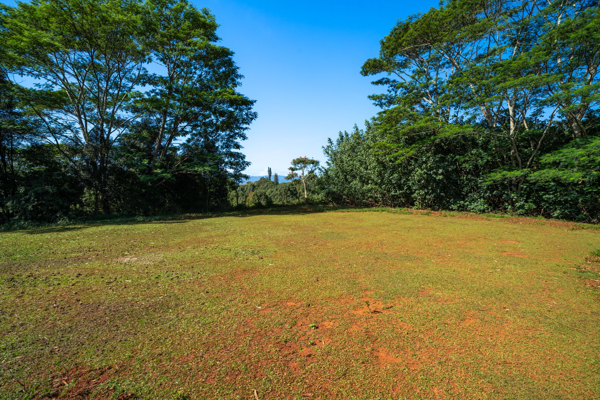 Kawaihau Rd Property Photo 5