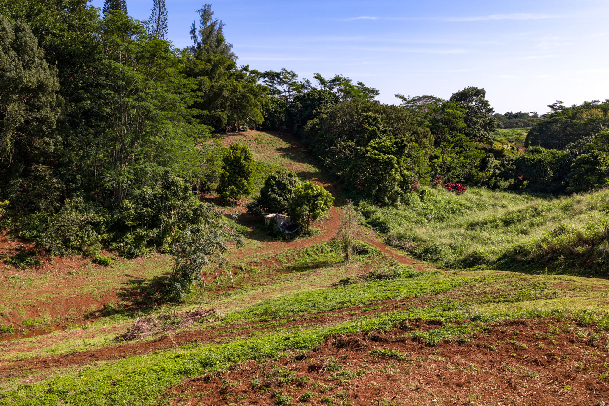 Kawaihau Rd Property Photo 16