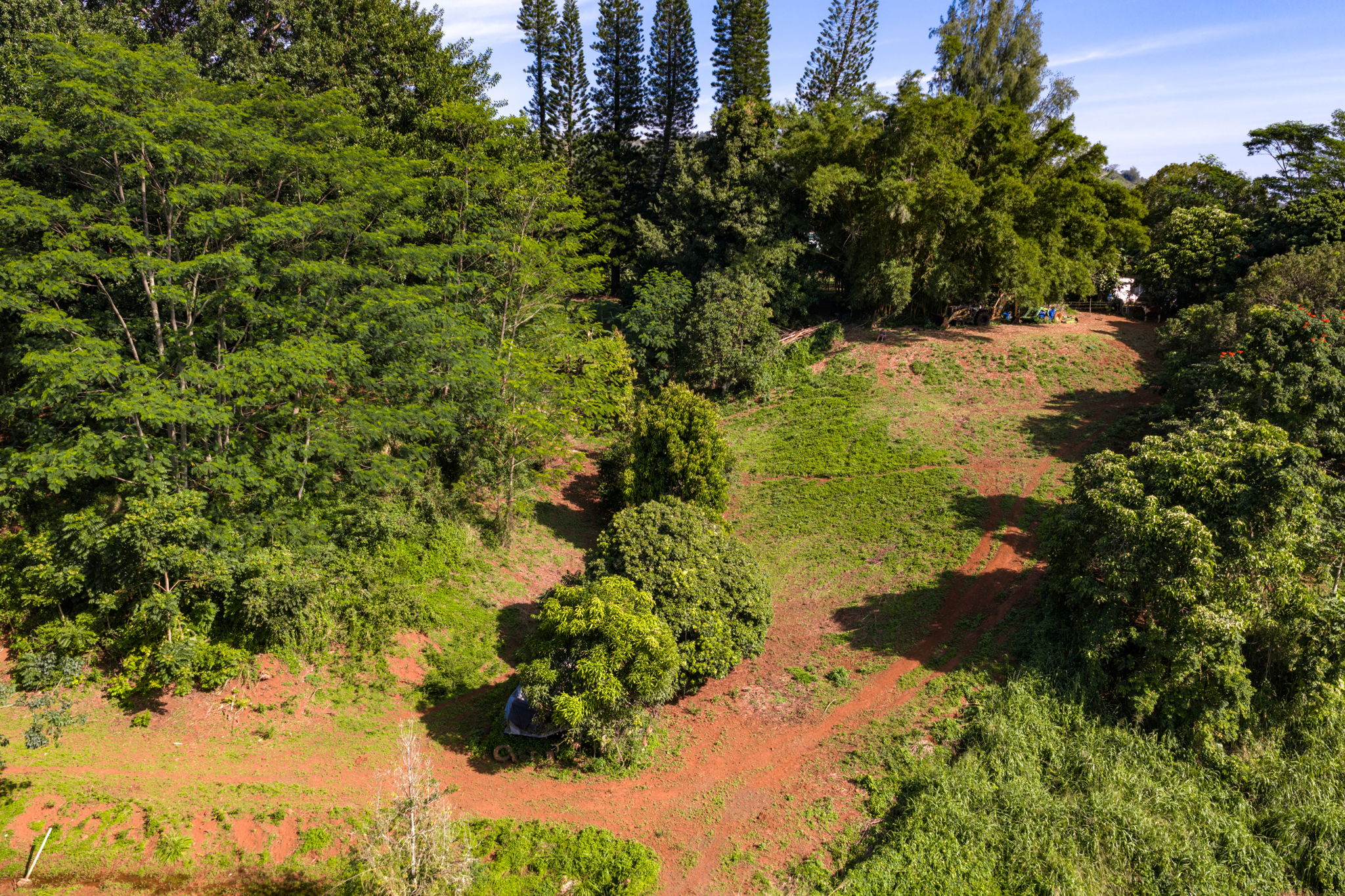 Kawaihau Rd Property Photo 17