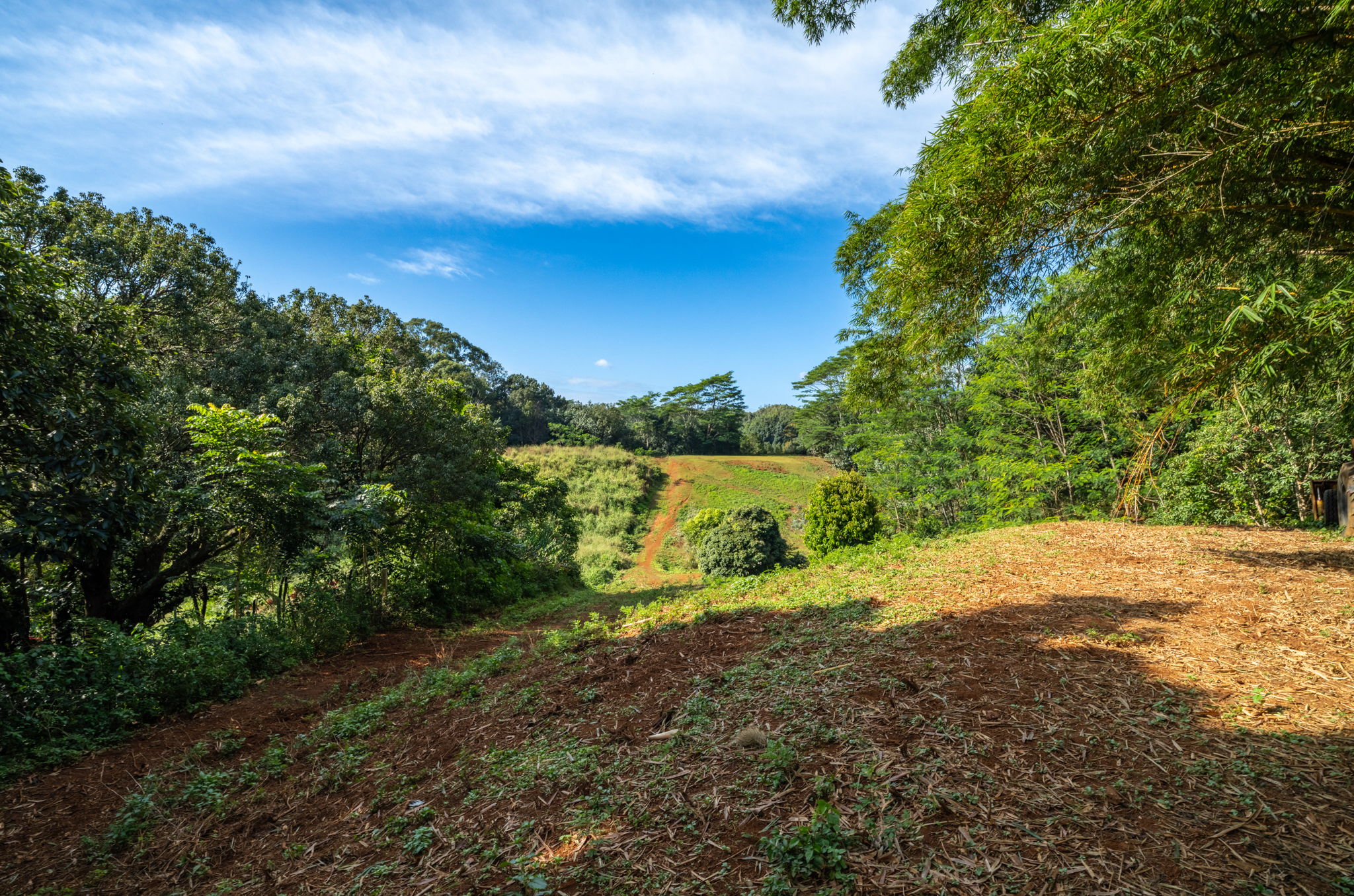 Kawaihau Rd Property Photo 19