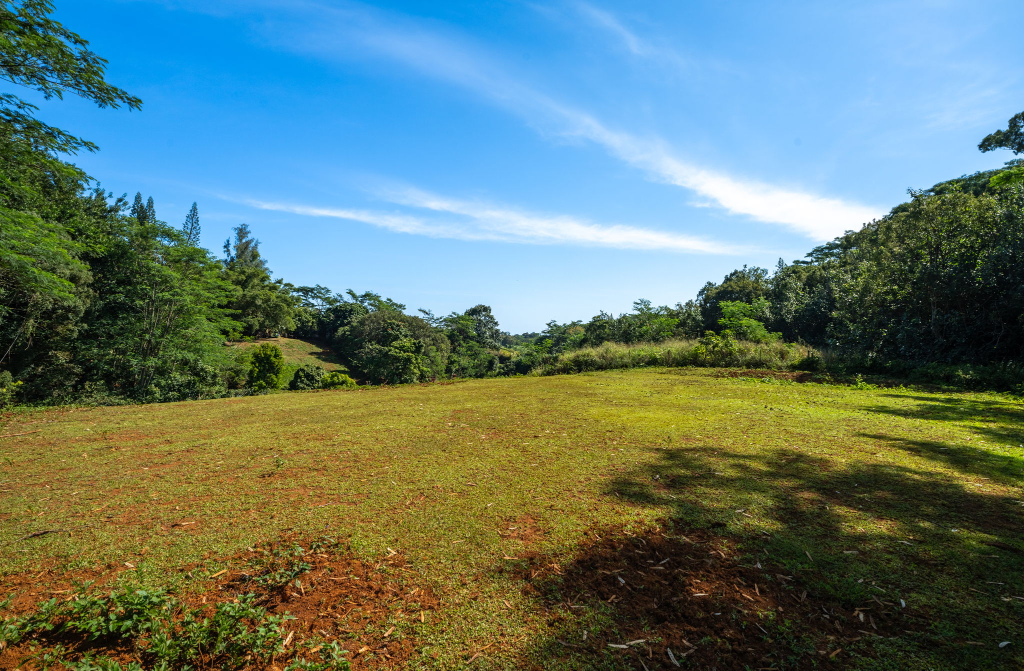 Kawaihau Rd Property Photo 27