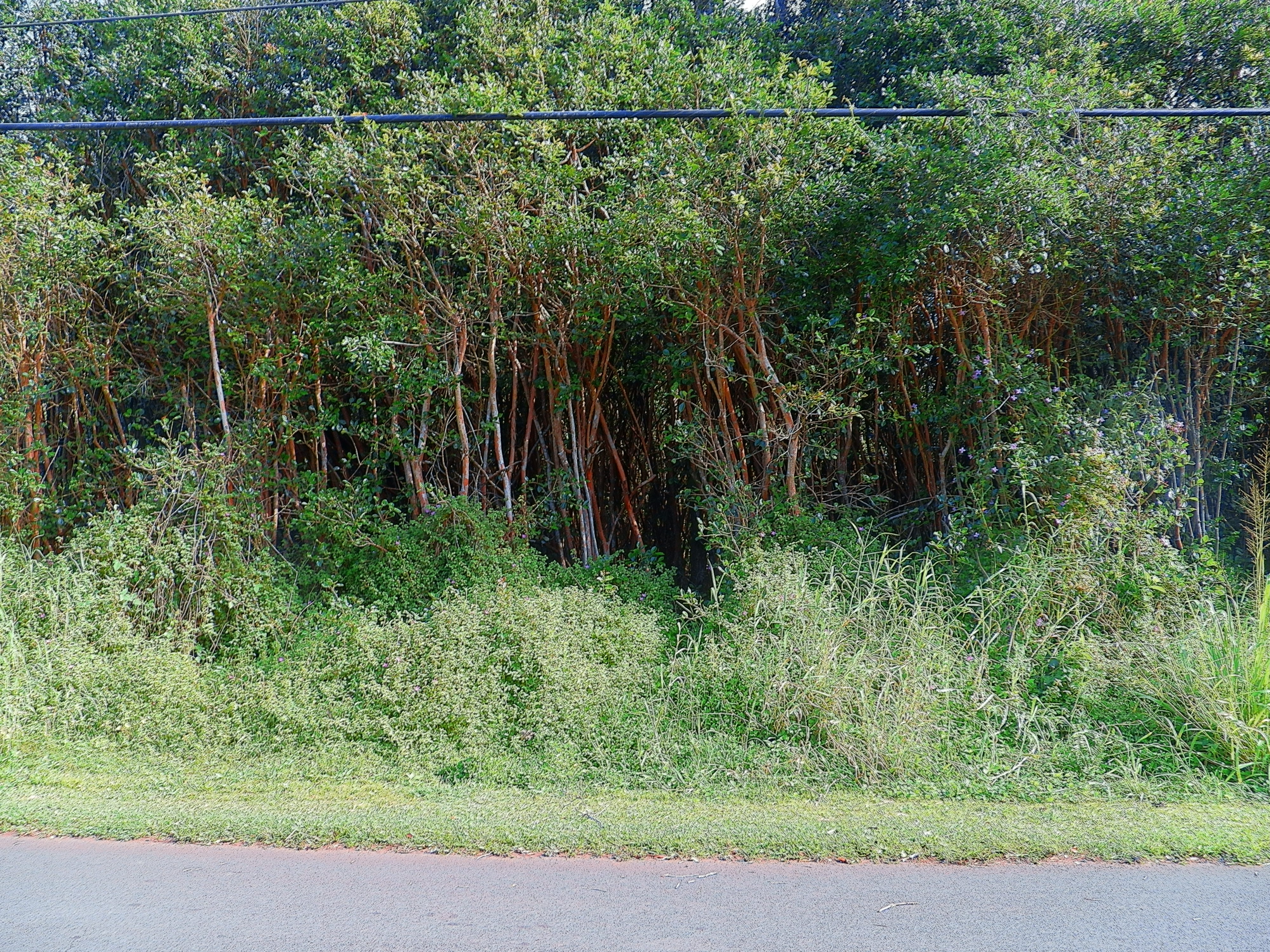 DIAMOND HEAD RD Property Photo 1