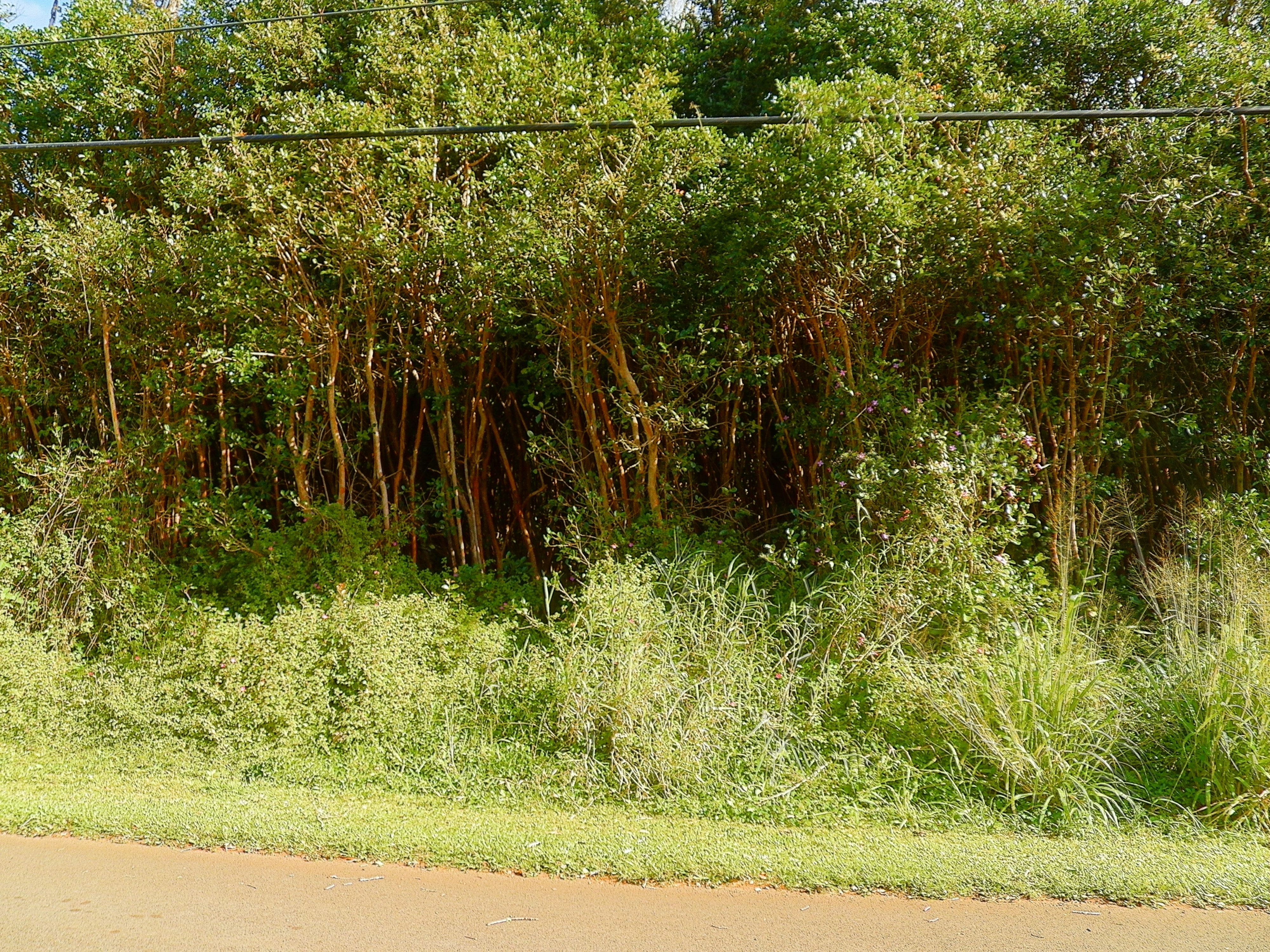 Diamond Head Rd Property Photo 2