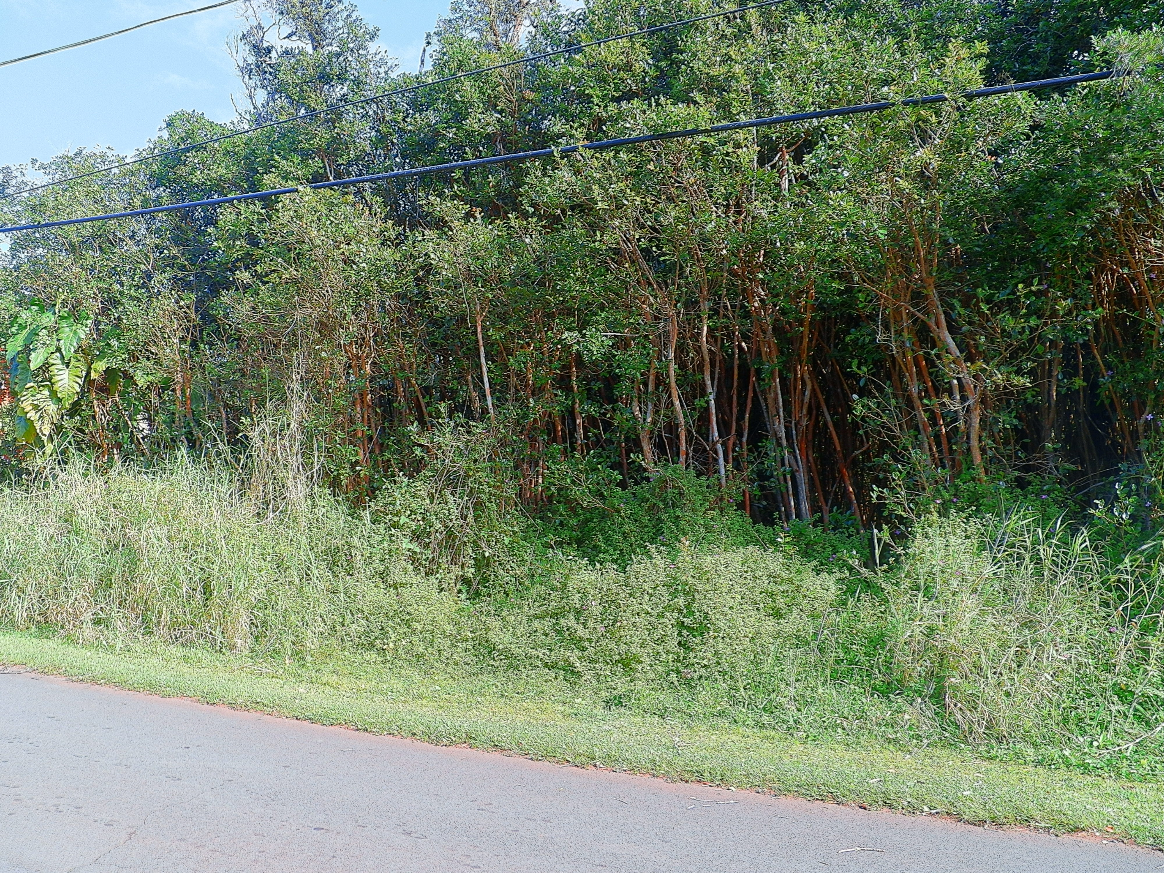 Diamond Head Rd Property Photo 3
