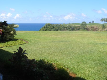 5280 Ka Haku Rd 136 Property Photo 19