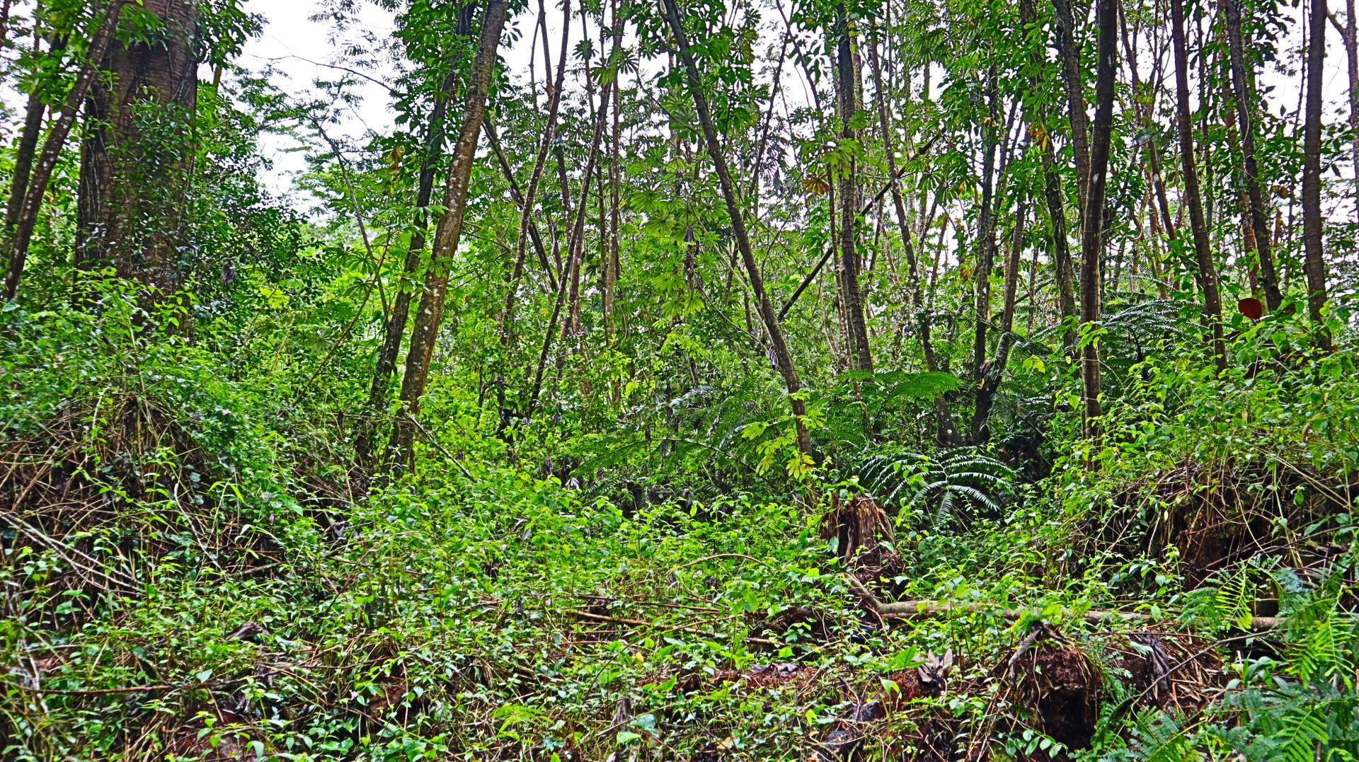 Ginger Rd Property Photo 1