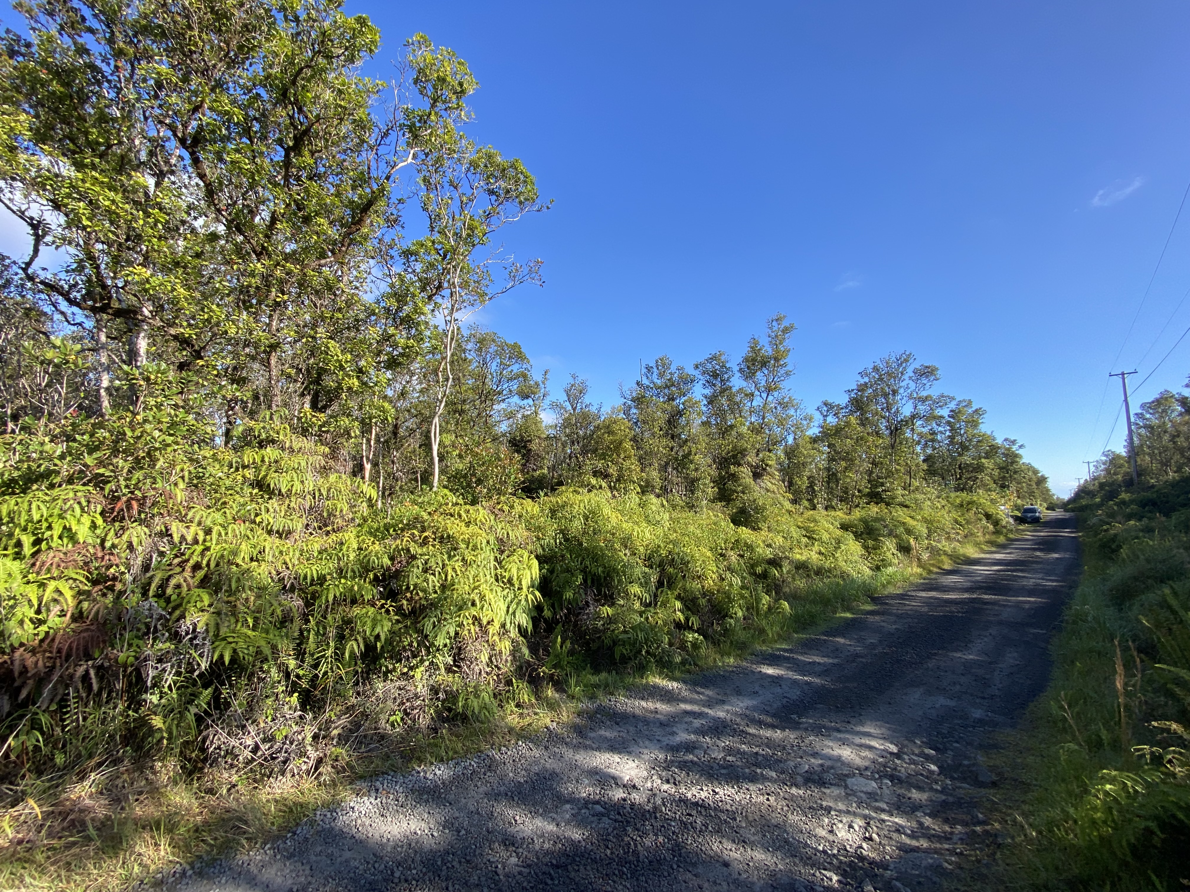 Jungle King Ave Property Photo 3