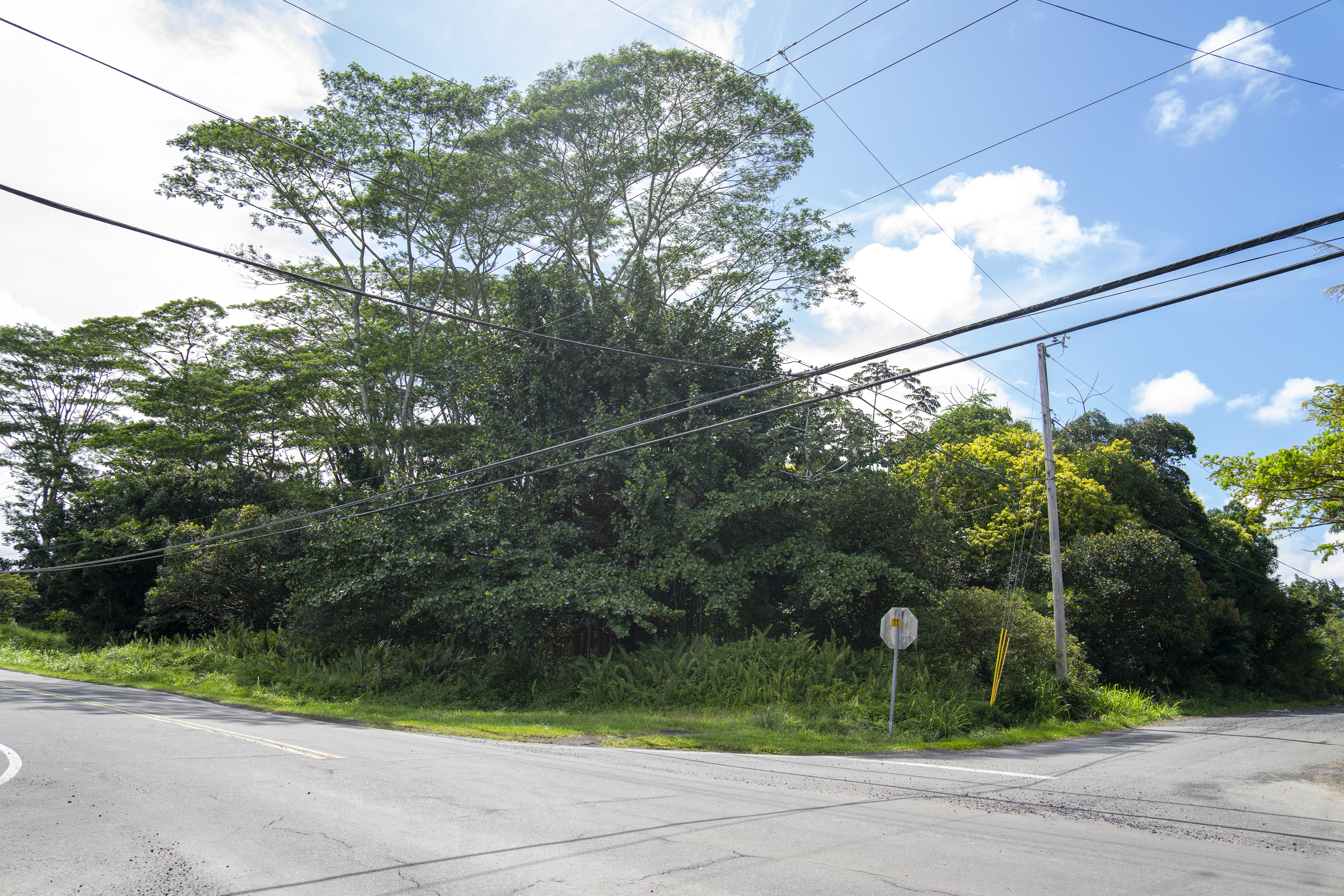 Makuu Dr Property Photo 3