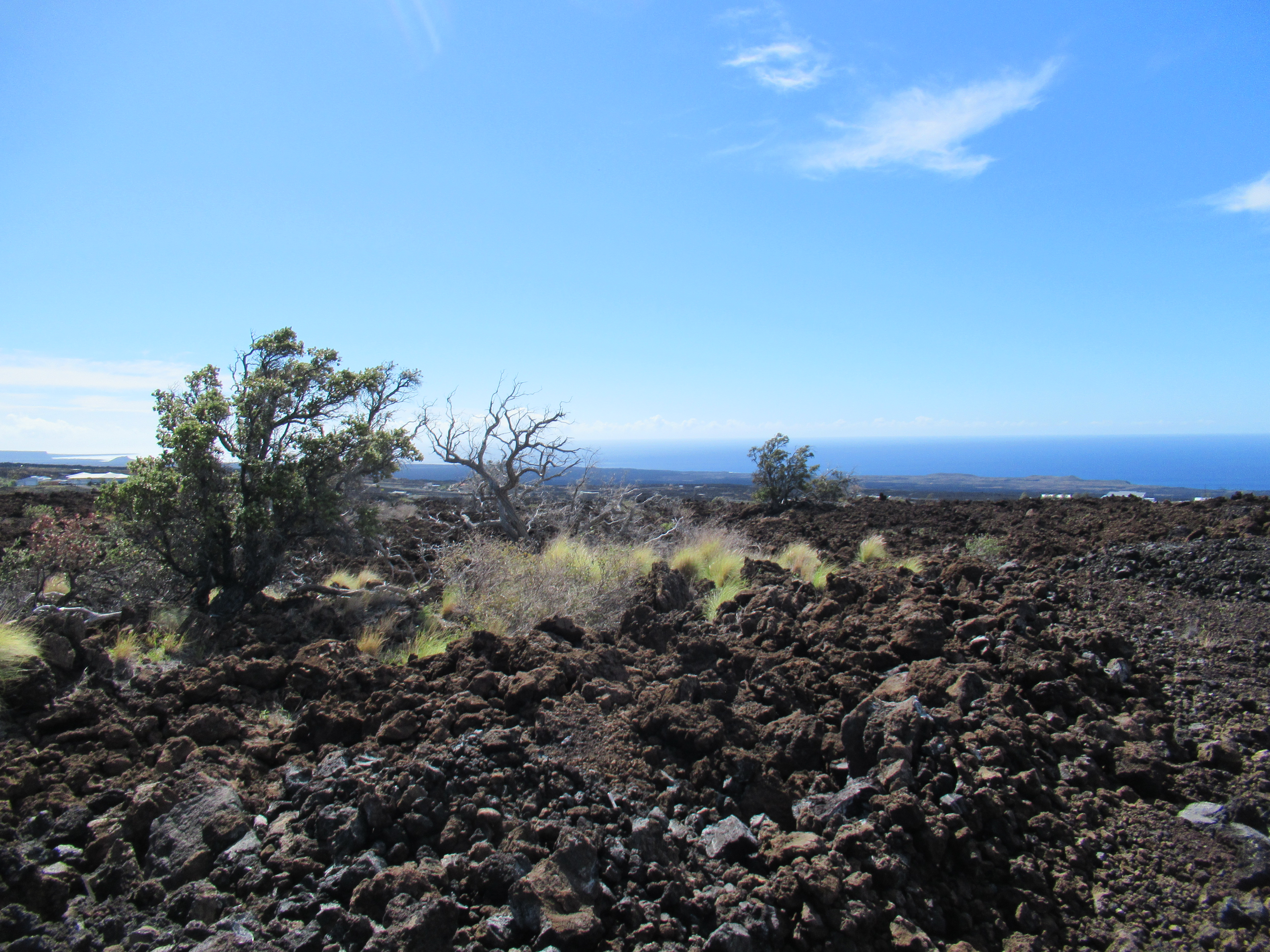Hokulani Blvd Property Photo 1