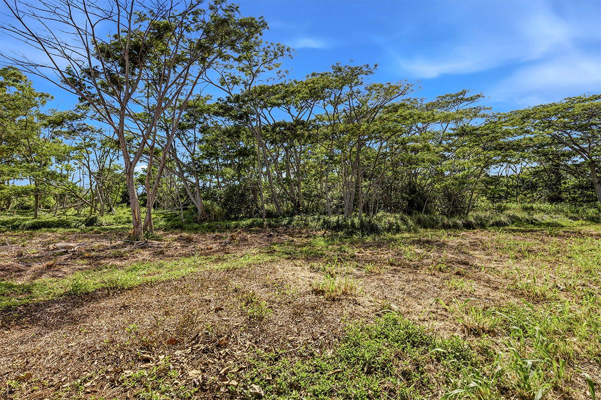 3310 Wawae Rd Property Photo 6