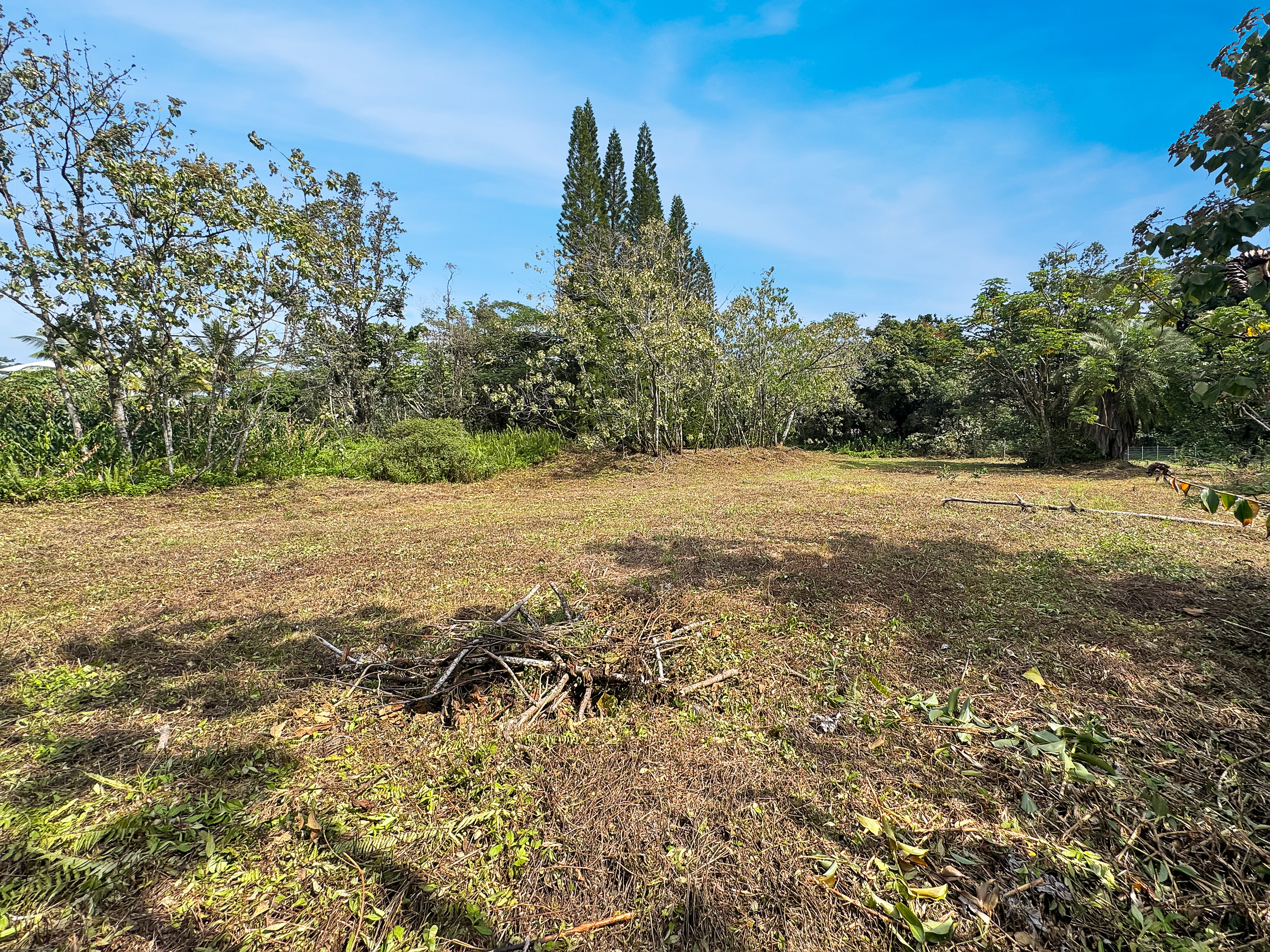 13th Ave Property Photo 2