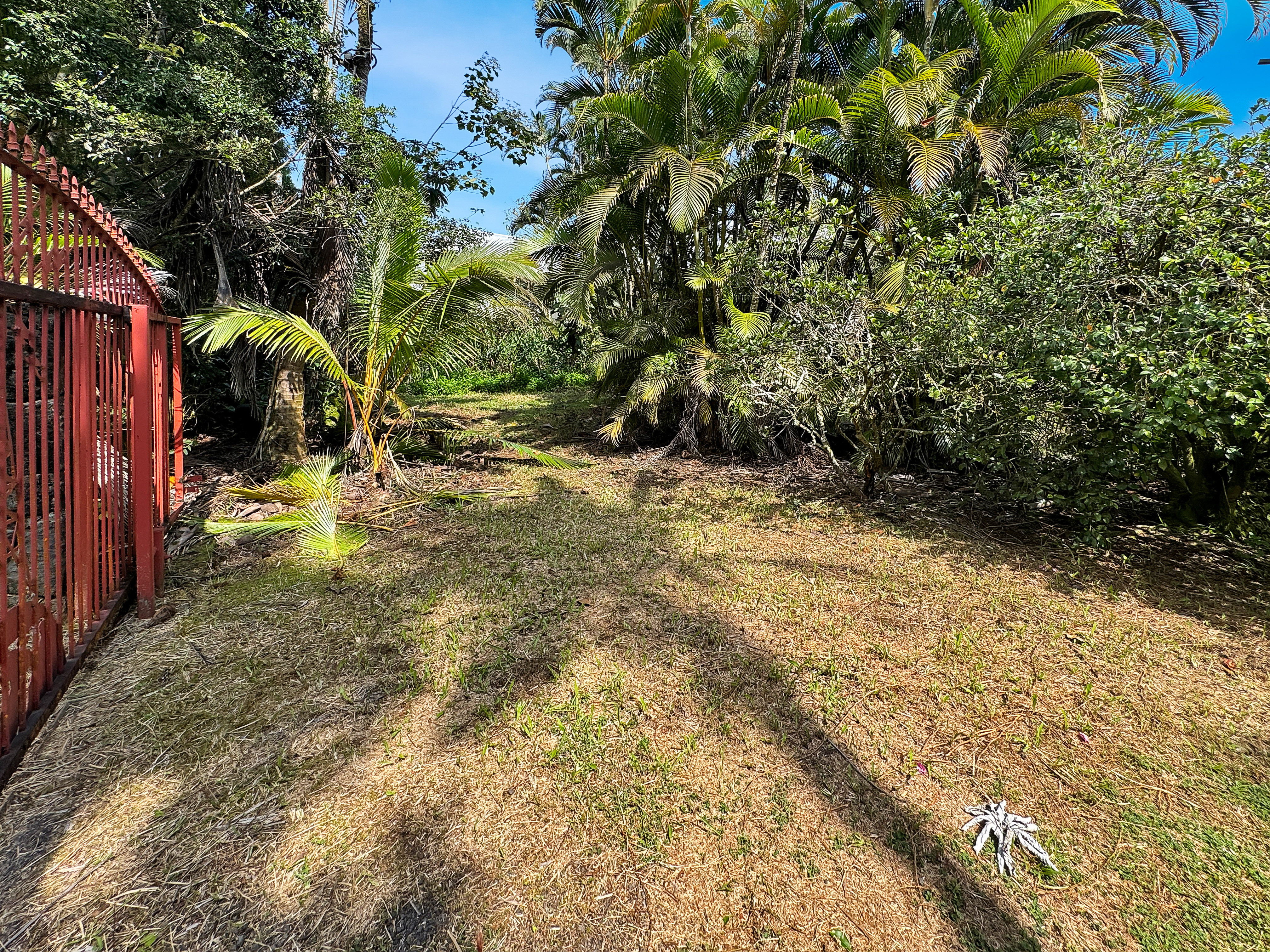 13th Ave Property Photo 3