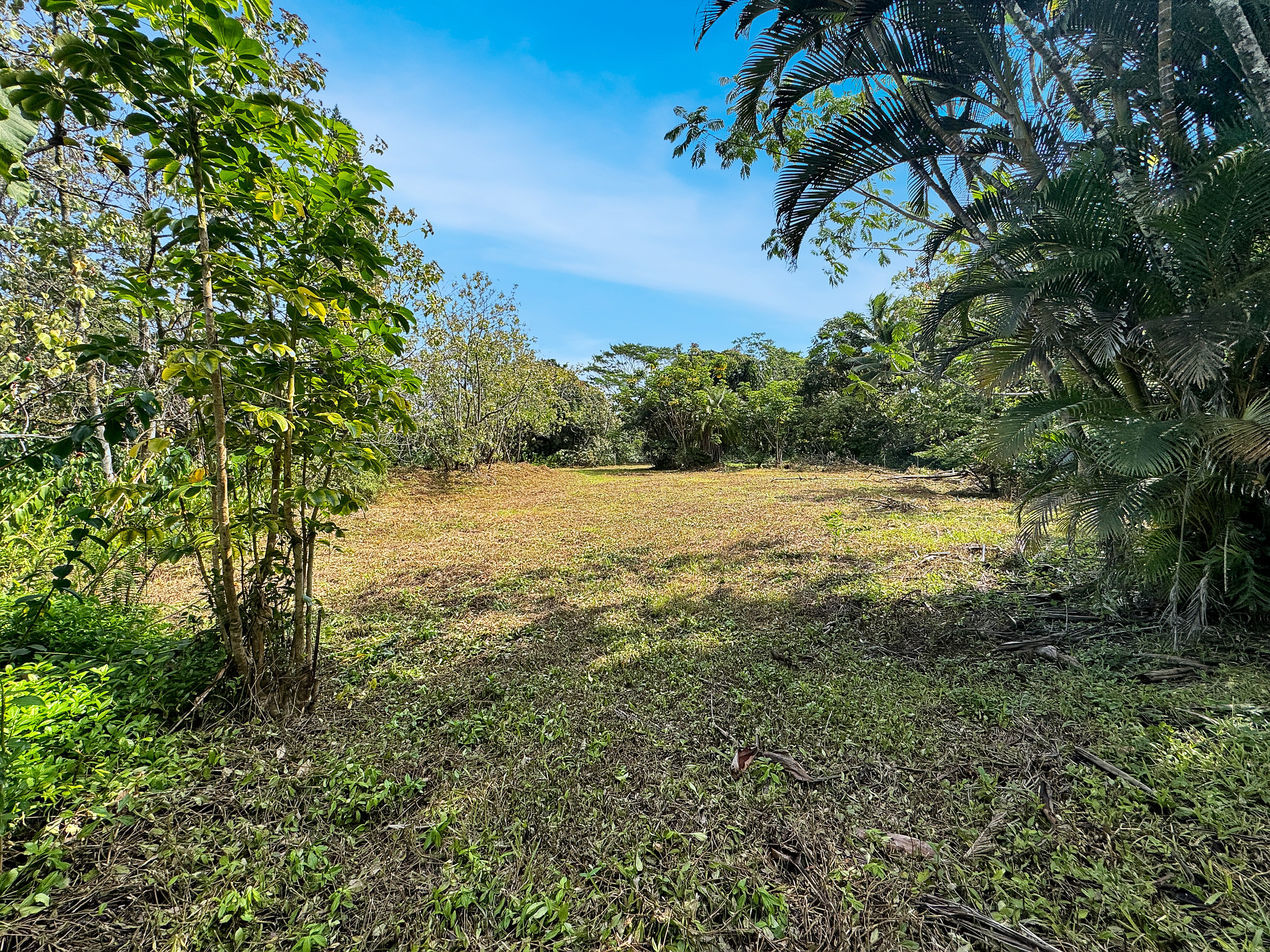 13th Ave Property Photo 4
