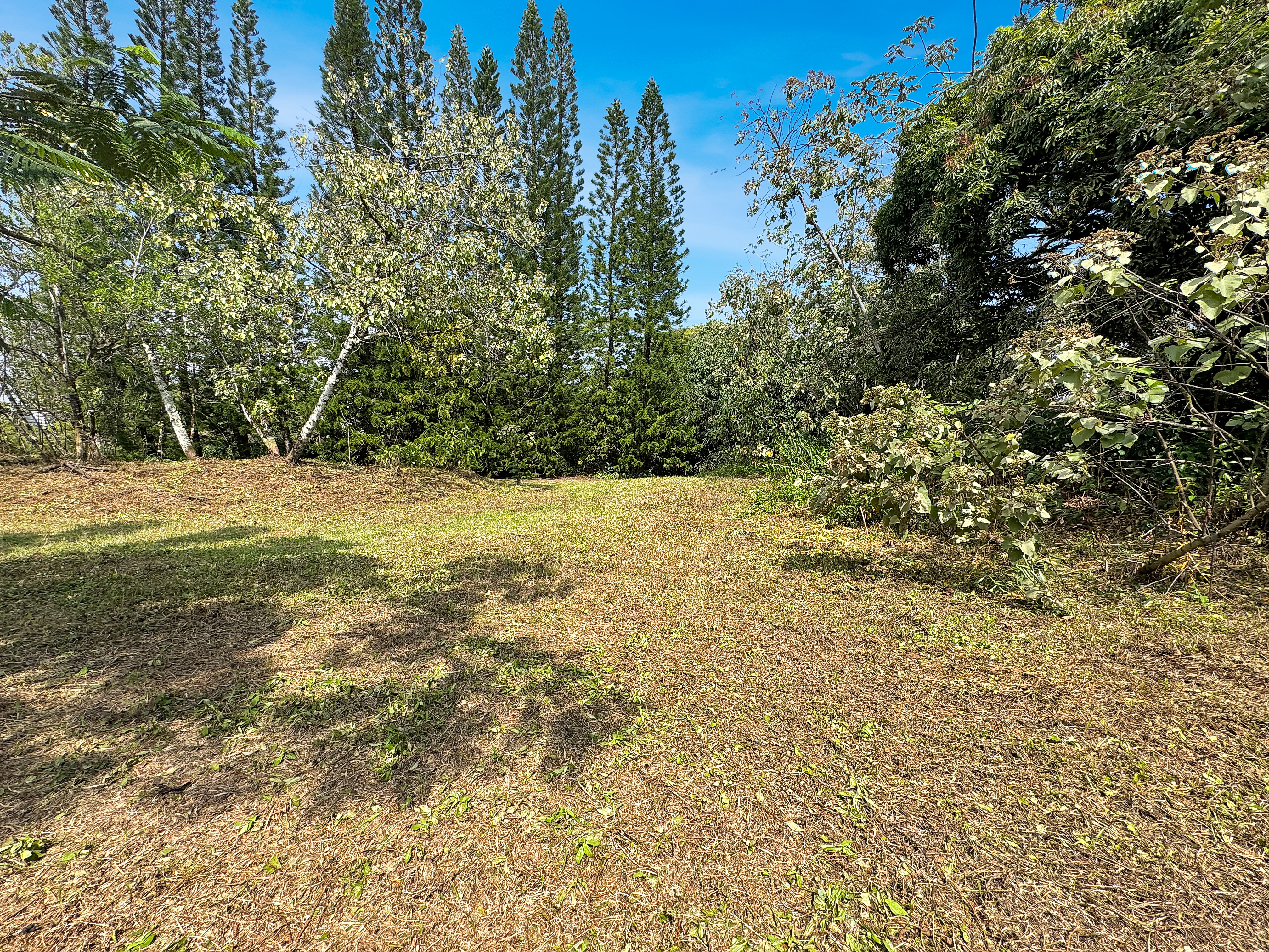 13th Ave Property Photo 5