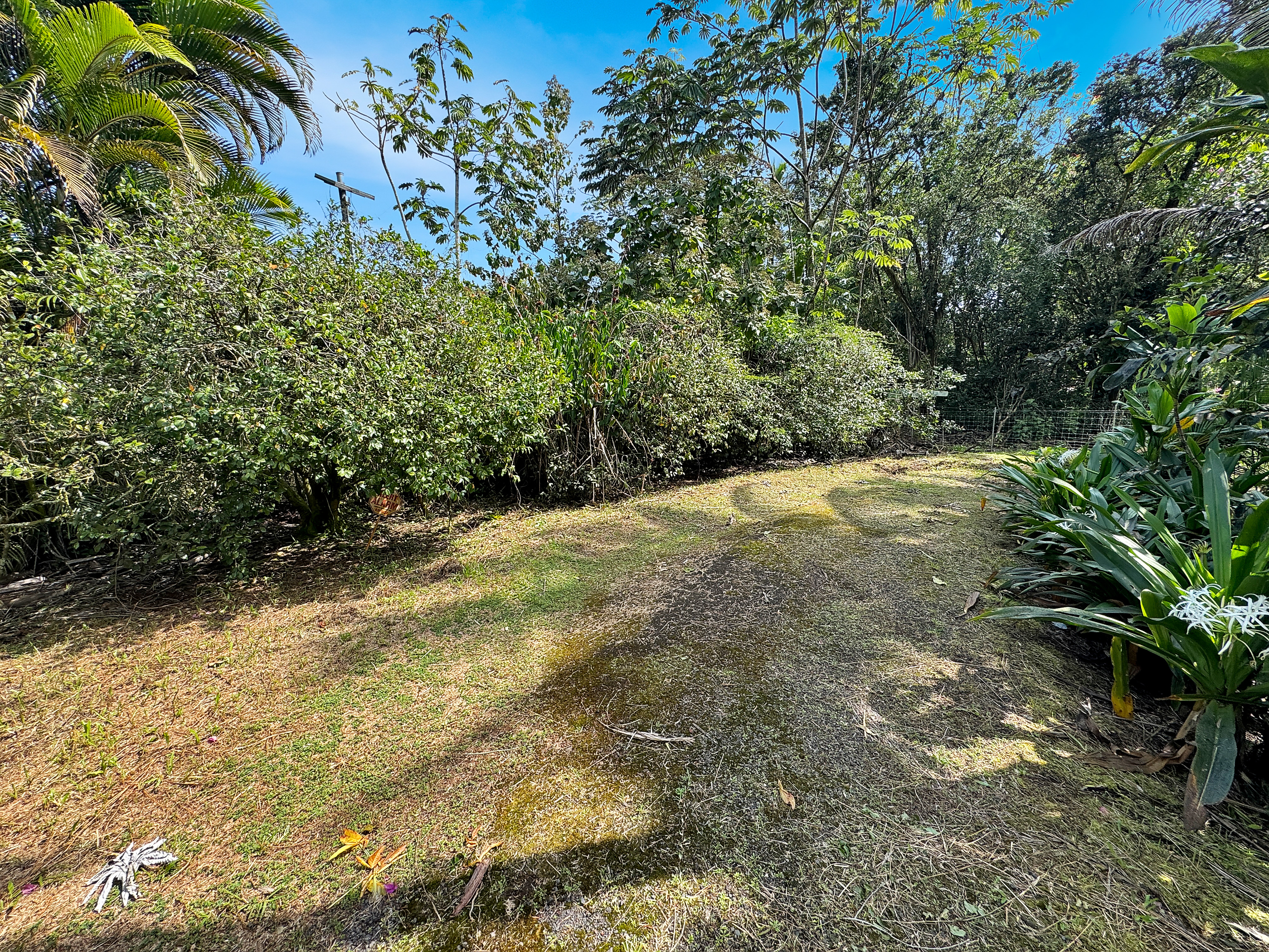 13th Ave Property Photo 7