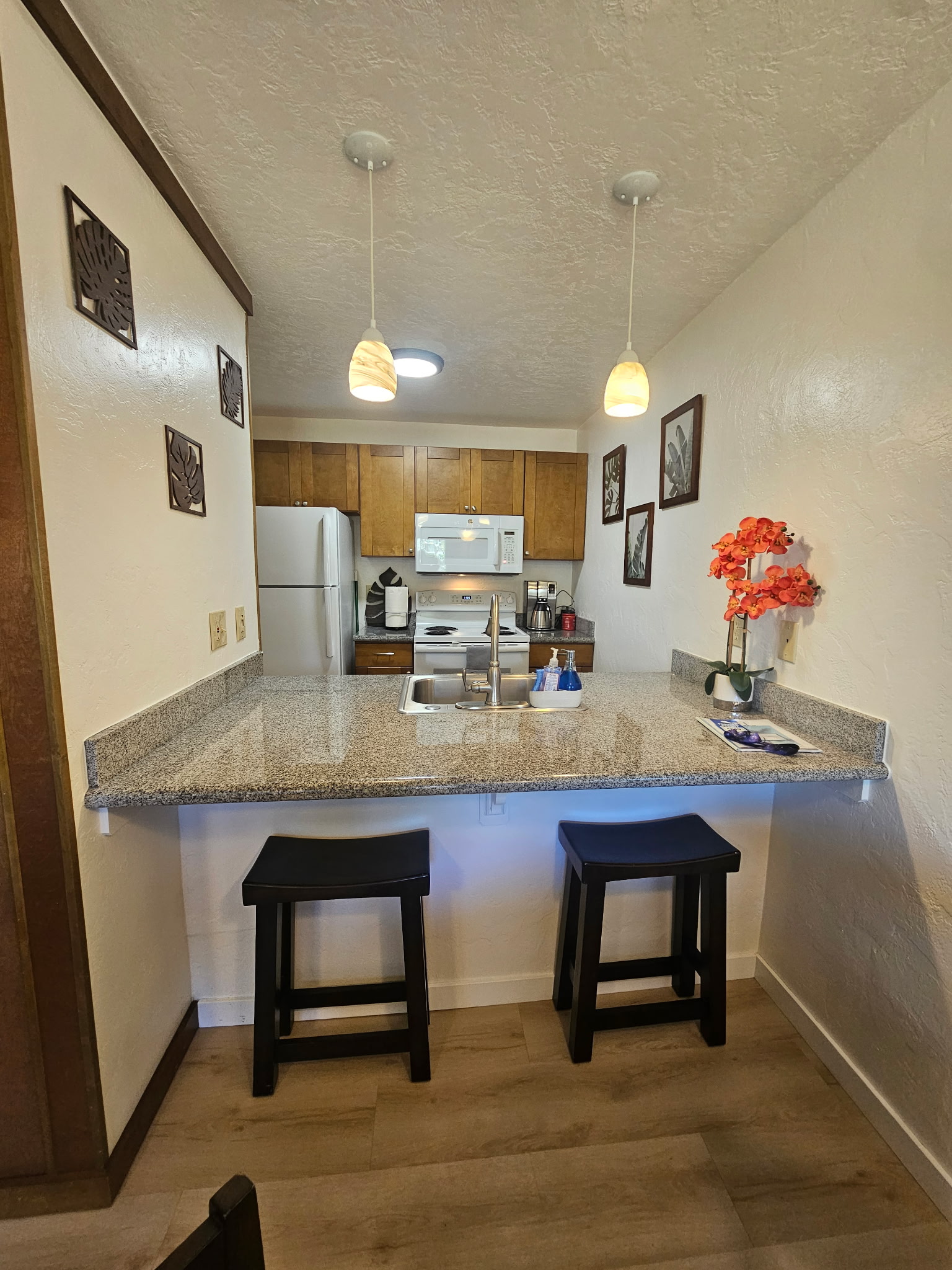 525 Aleka Lp D3 Property Photo 9