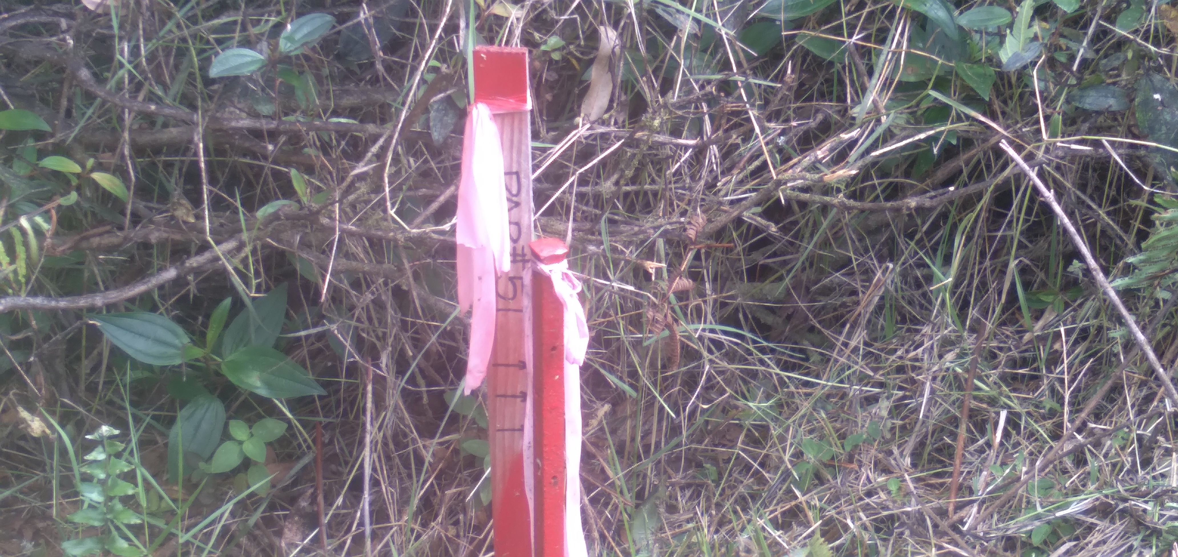 Mikana St Property Photo 1