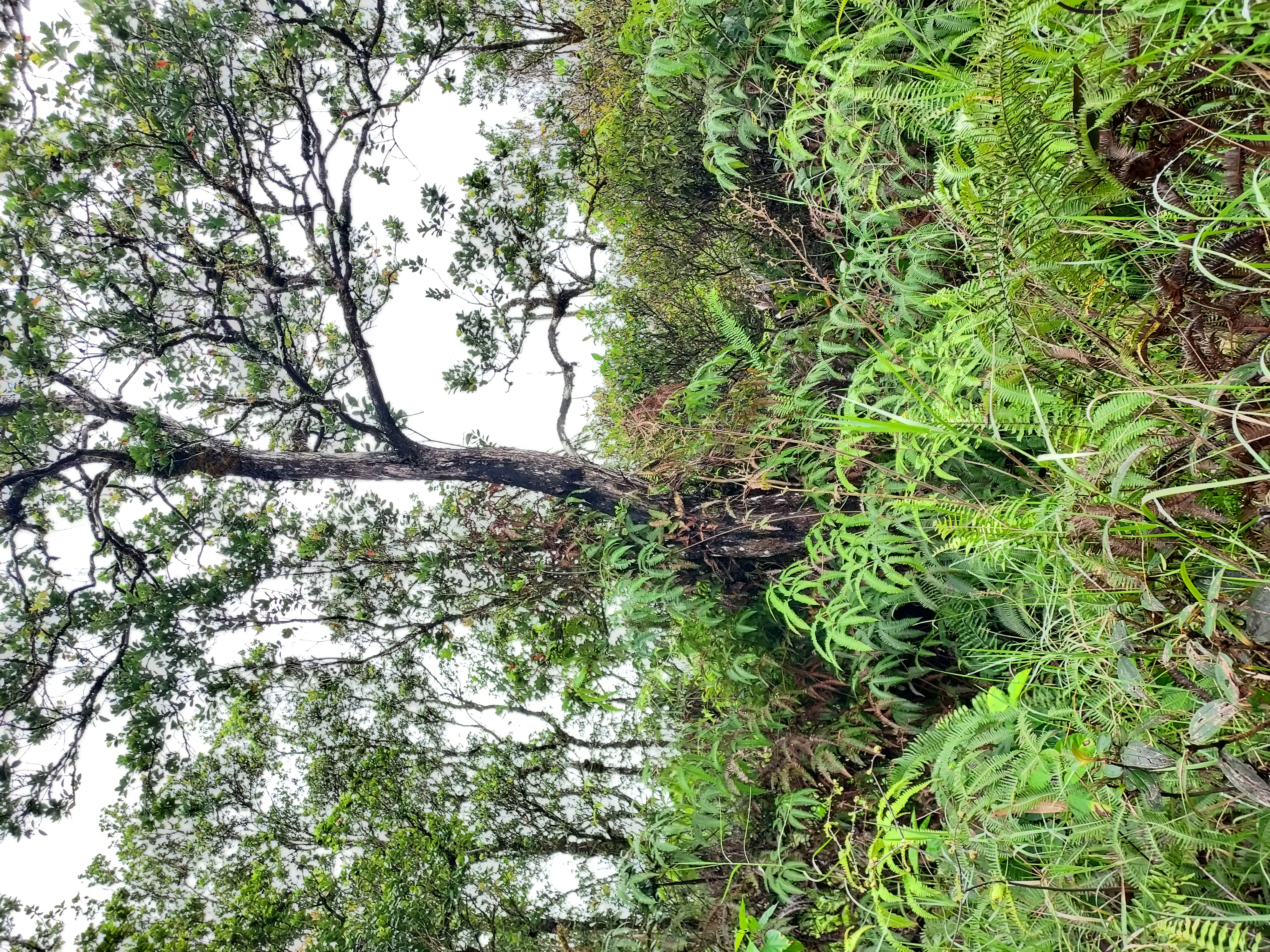Mikana St Property Photo 2