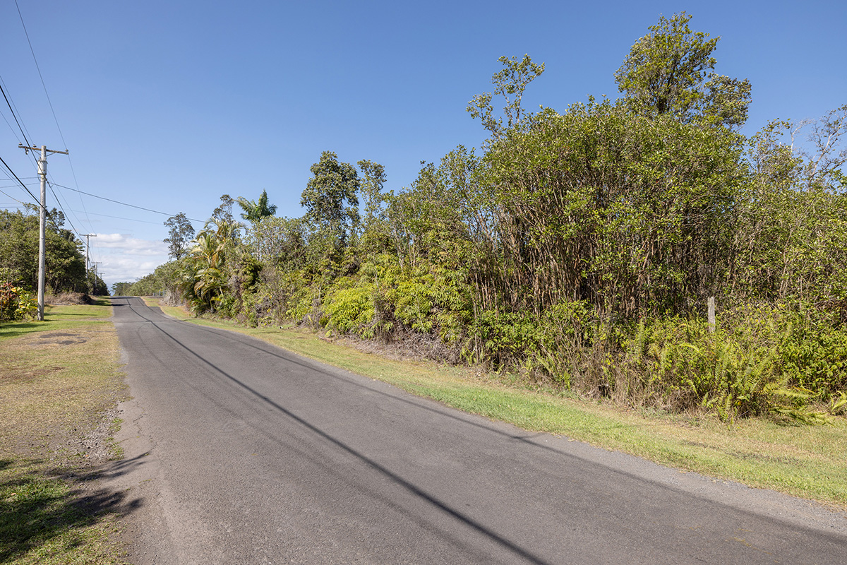 Hibiscus St Property Photo 2