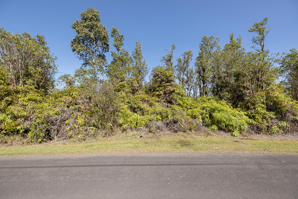 Hibiscus St Property Photo 4