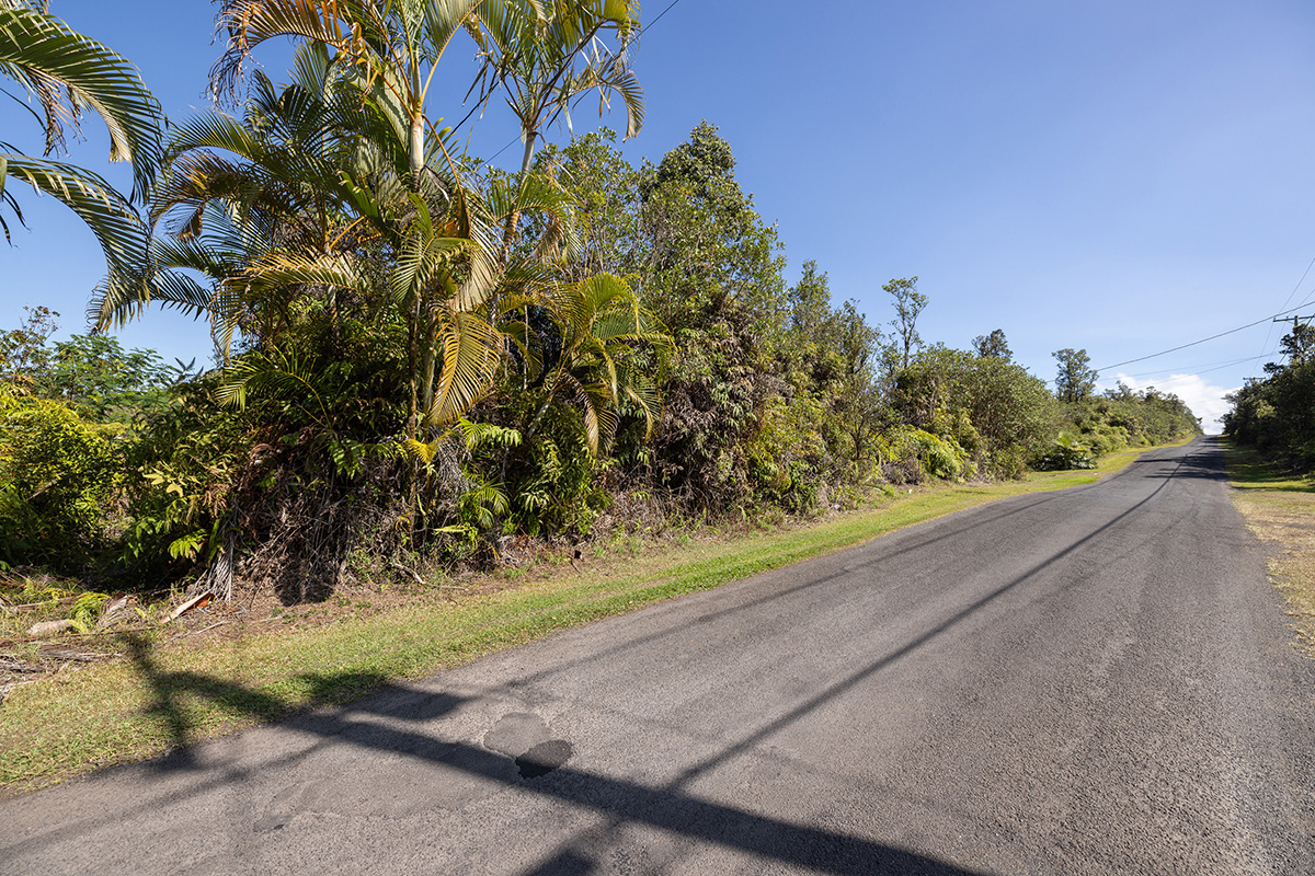 Hibiscus St Property Photo 12