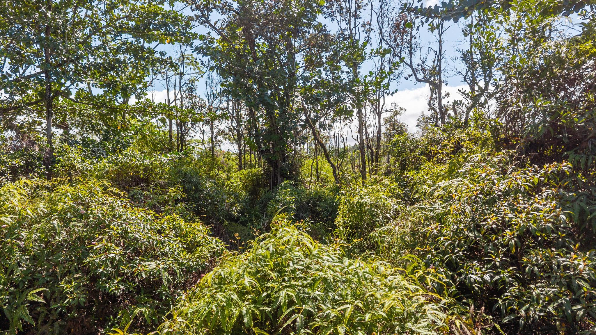 Loke Rd Property Photo 2