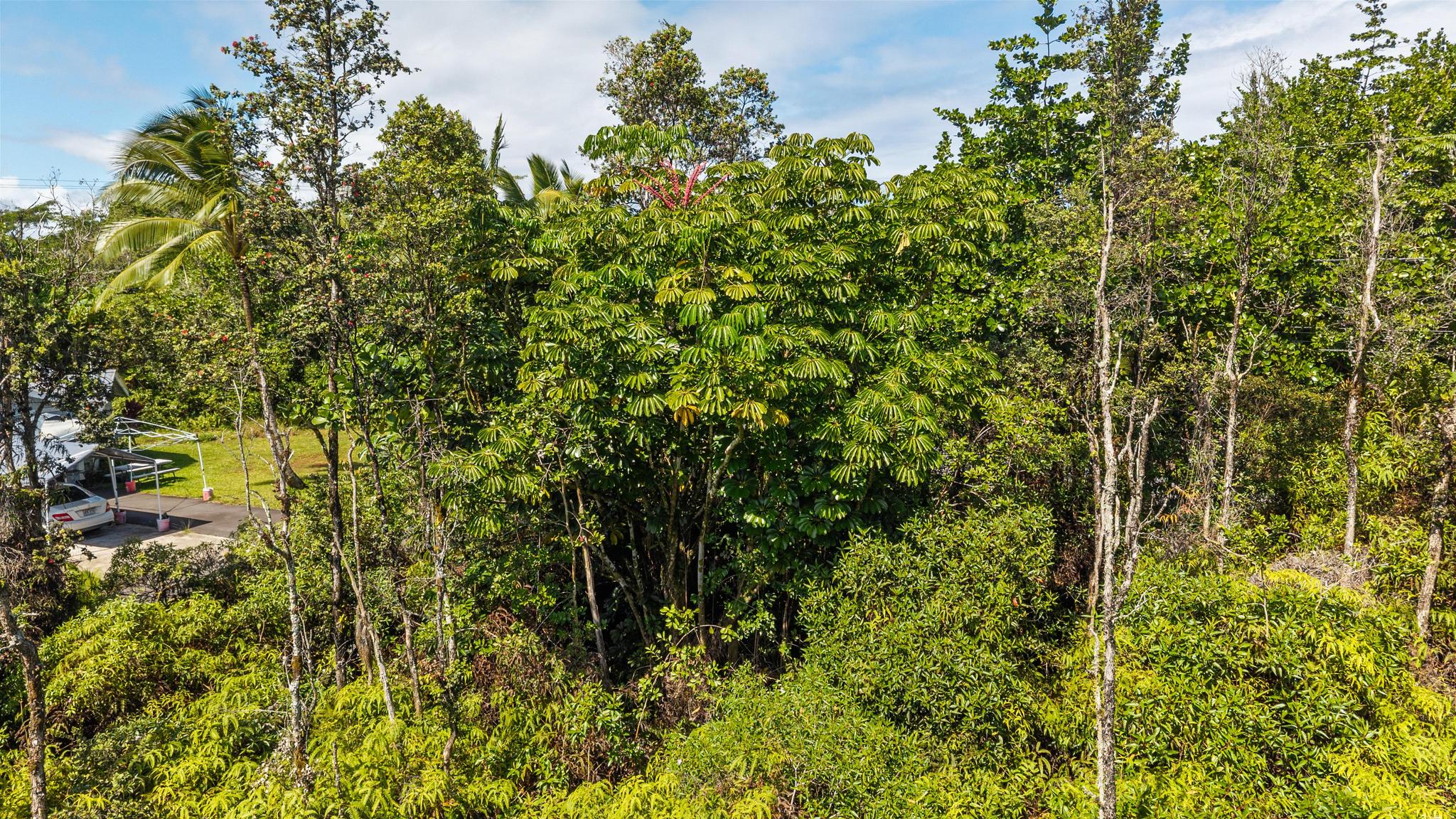 Loke Rd Property Photo 4