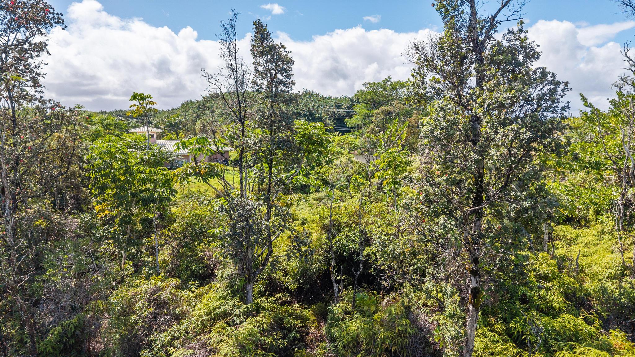 Loke Rd Property Photo 6