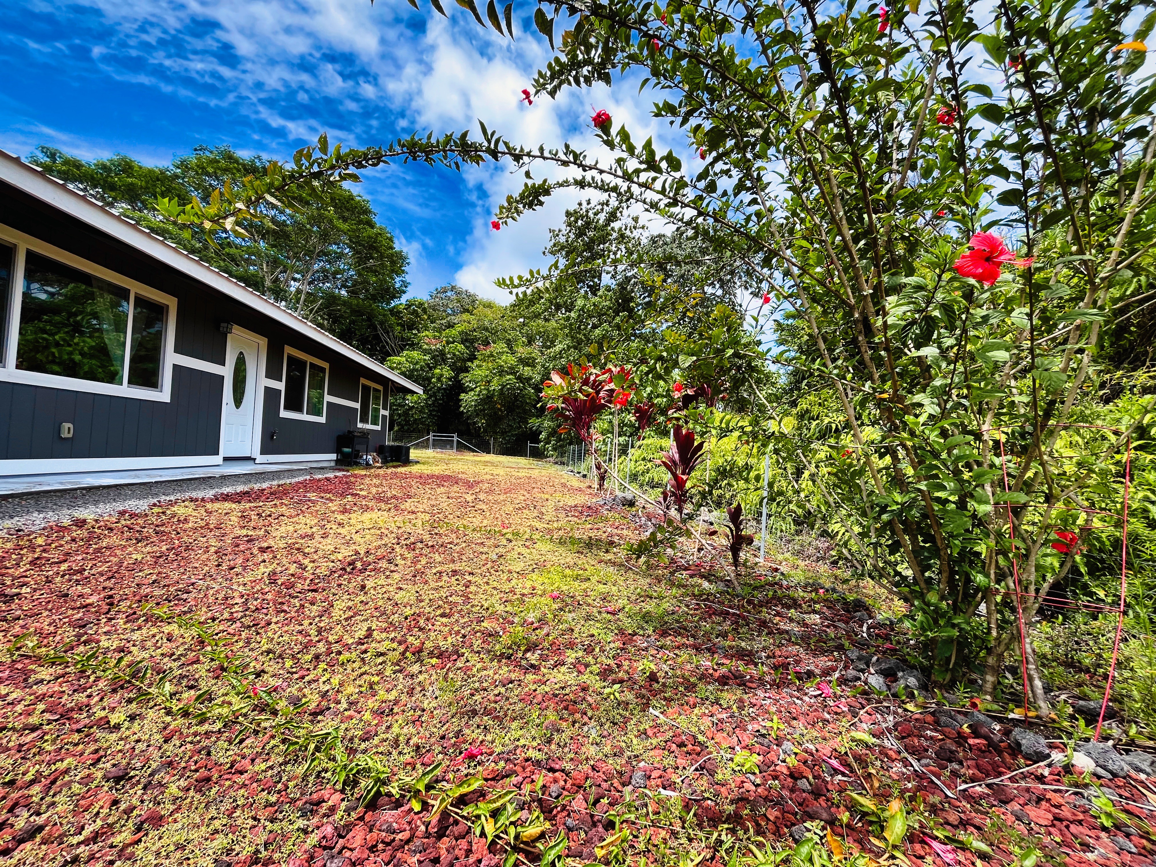 15-2806 Manalo St Property Photo 4