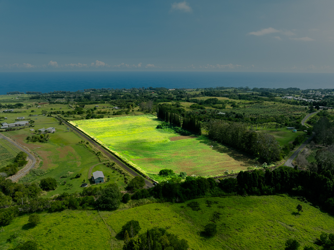 Airstrip Rd Property Photo 4