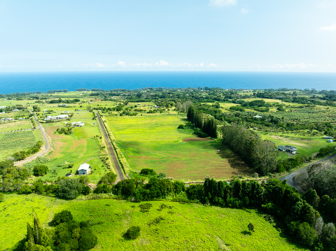 Airstrip Rd Property Photo 6
