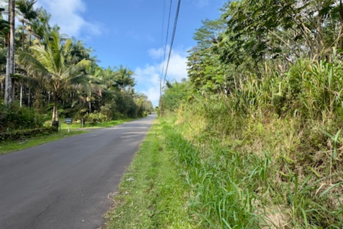 Maile St Property Photo 1