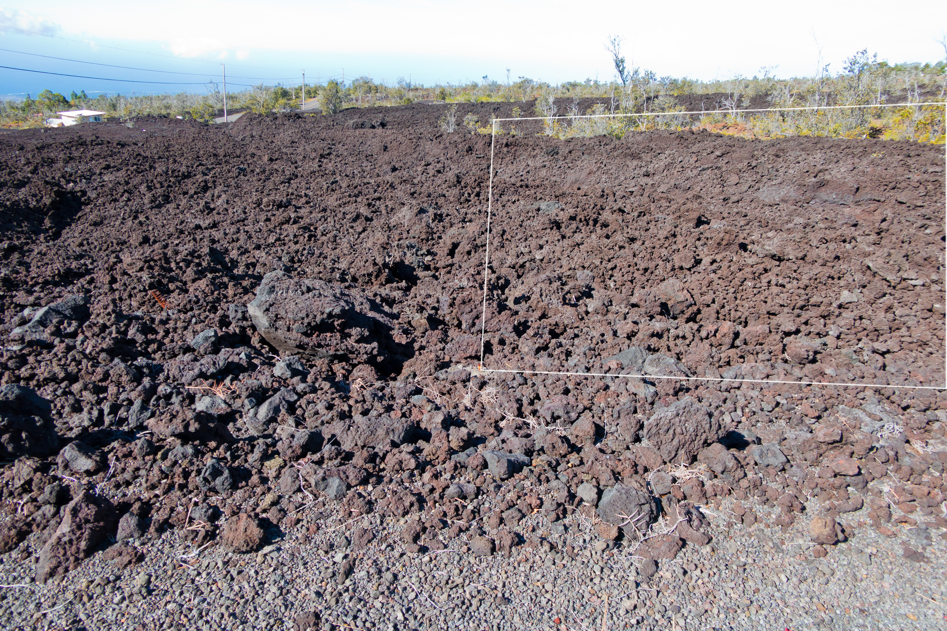 Iwalani Pkwy Property Photo 12