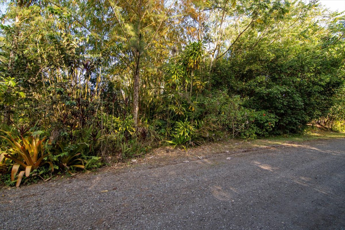 8th Ave Property Photo 6