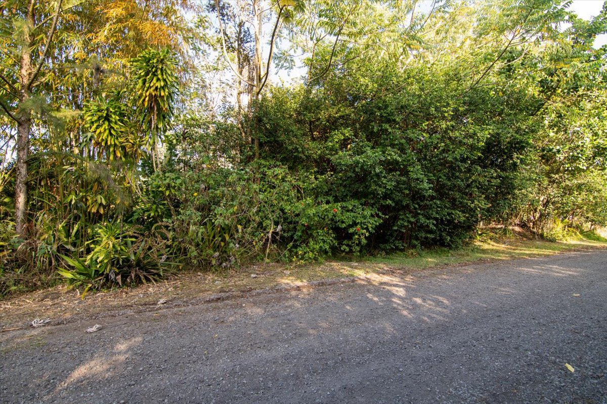 8th Ave Property Photo 7