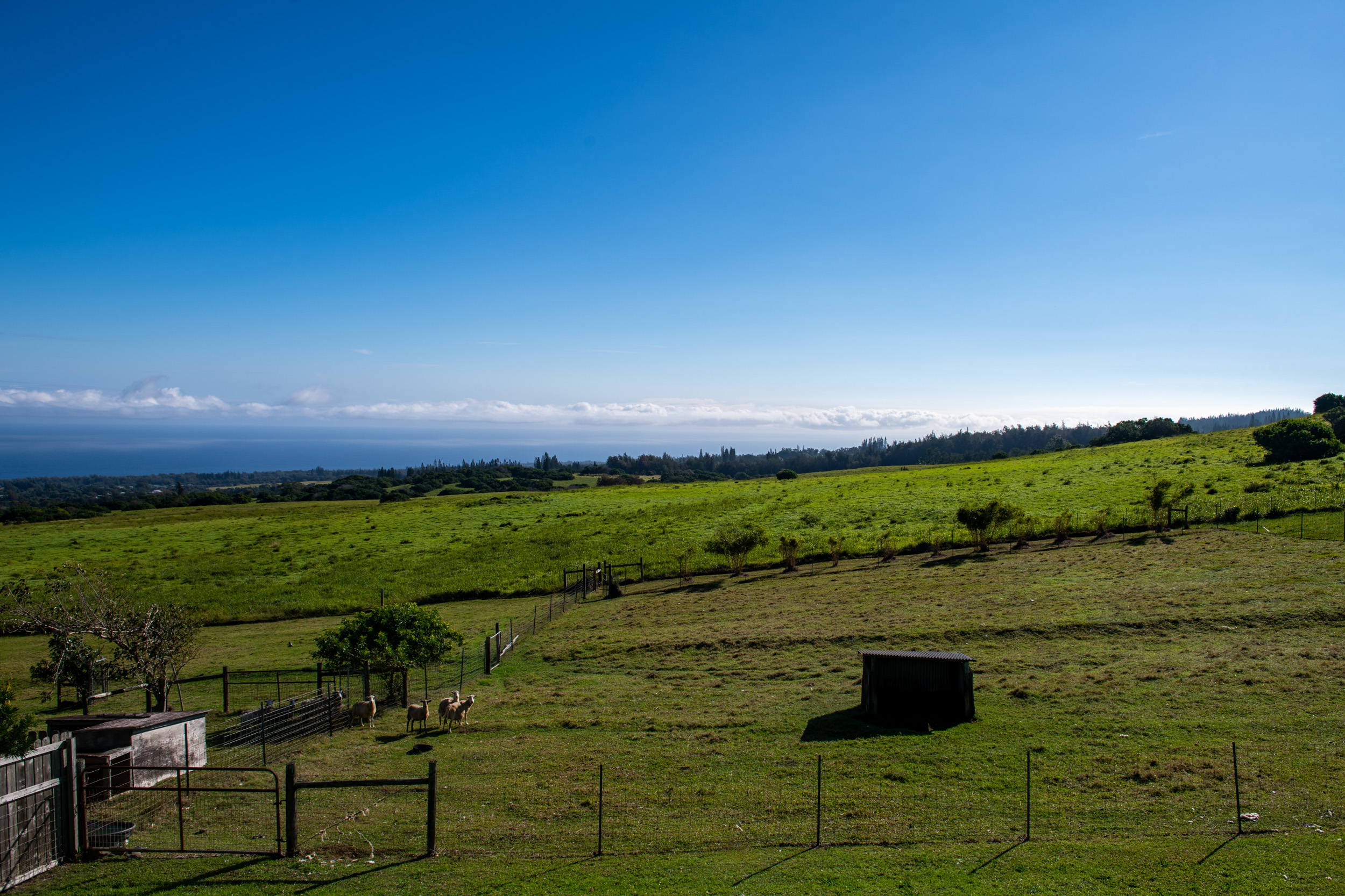 56-771 Kualapa Pl Property Photo 25