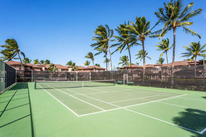 69-555 Waikoloa Beach Dr 905 Property Photo 29