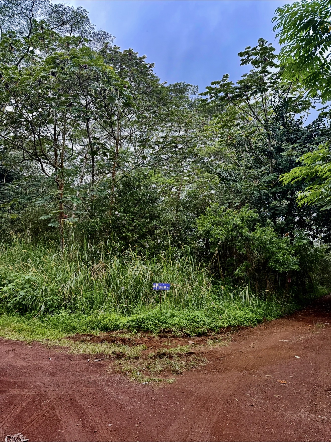 Puua Kapoho Rd Property Photo 2