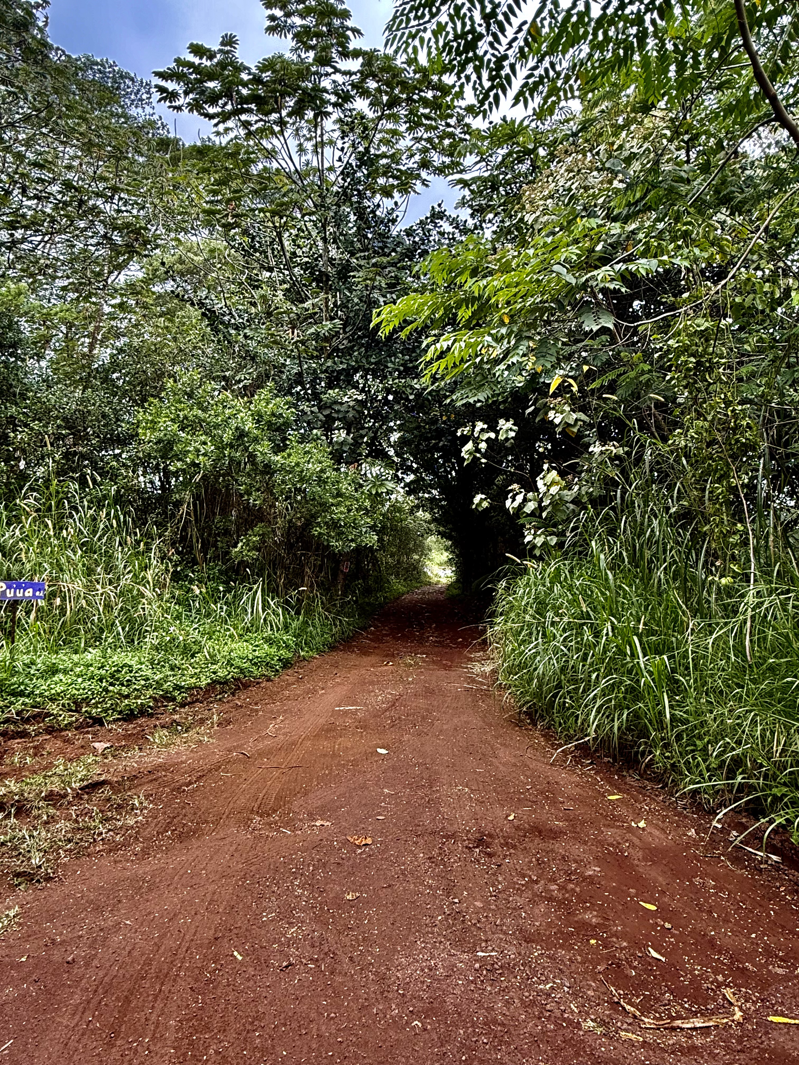 Puua Kapoho Rd Property Photo 3
