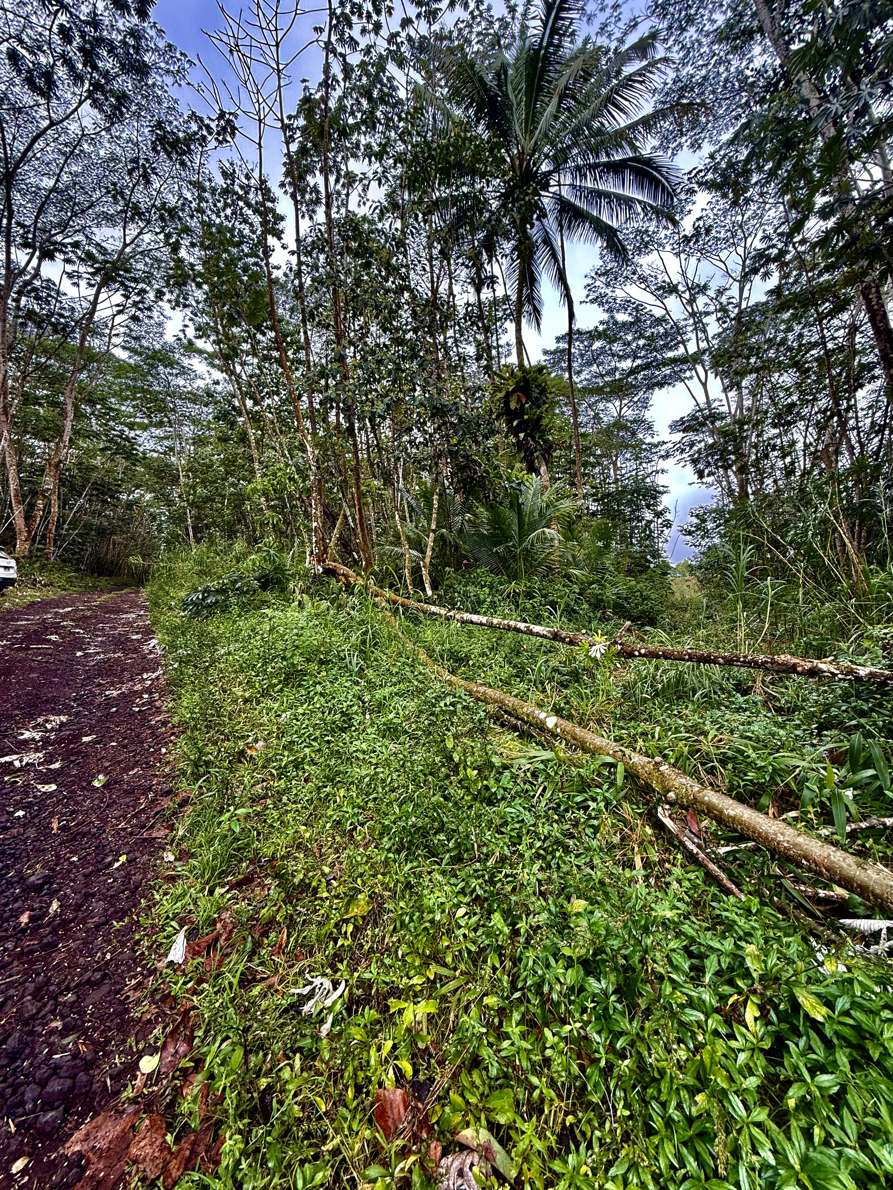 Puua Kapoho Rd Property Photo 9