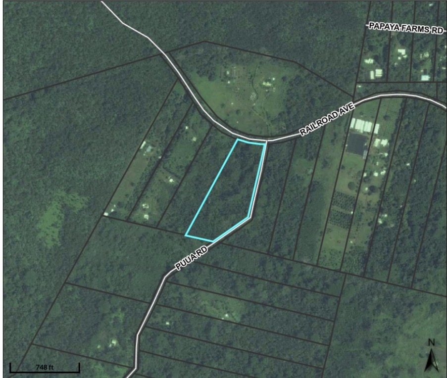 Puua Kapoho Rd Property Photo 13