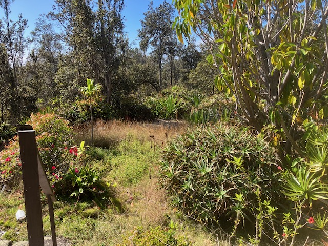 92-8884 Koa Ln Property Photo 4