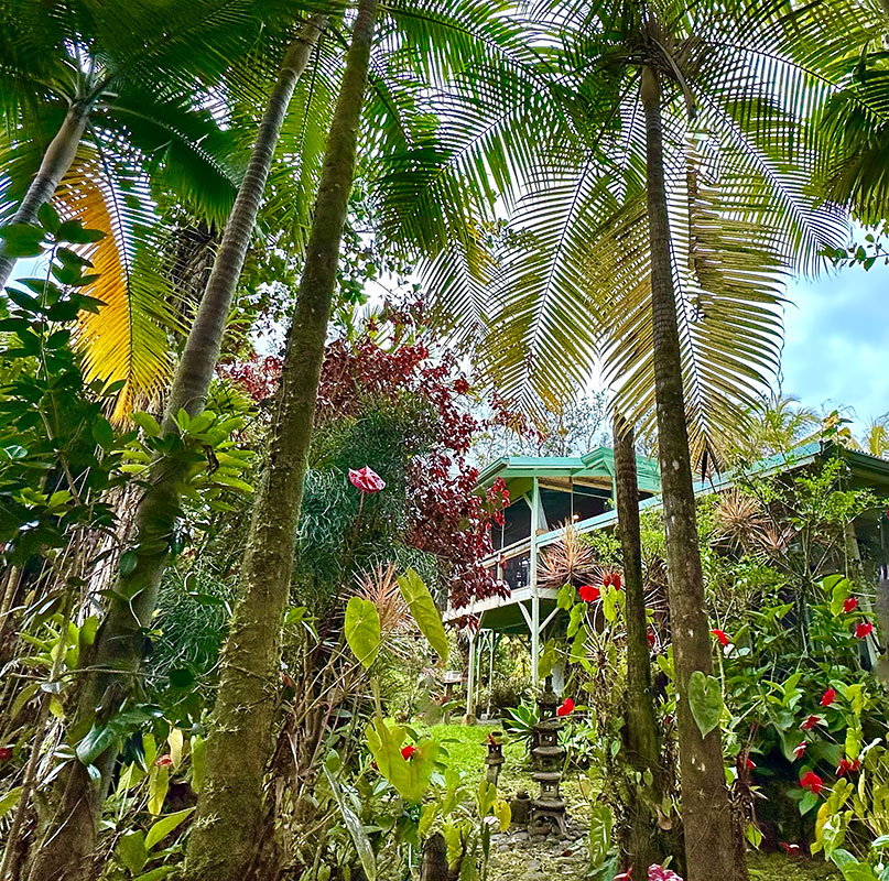13-1291 Kahukai St Property Photo 1