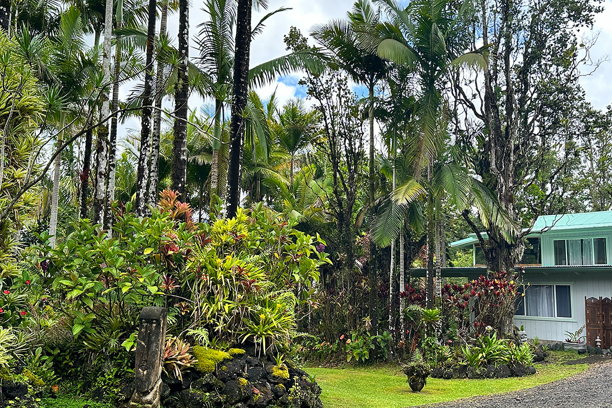 13-1291 Kahukai St Property Photo 4