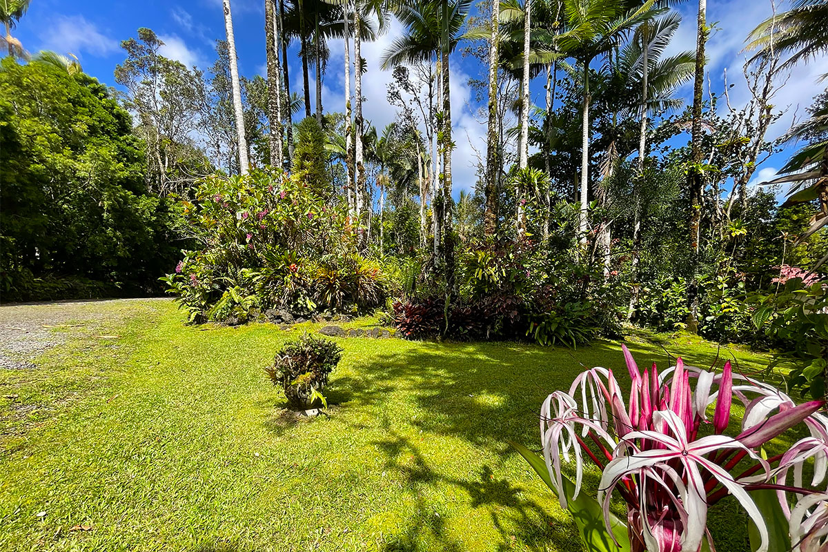13-1291 Kahukai St Property Photo 28